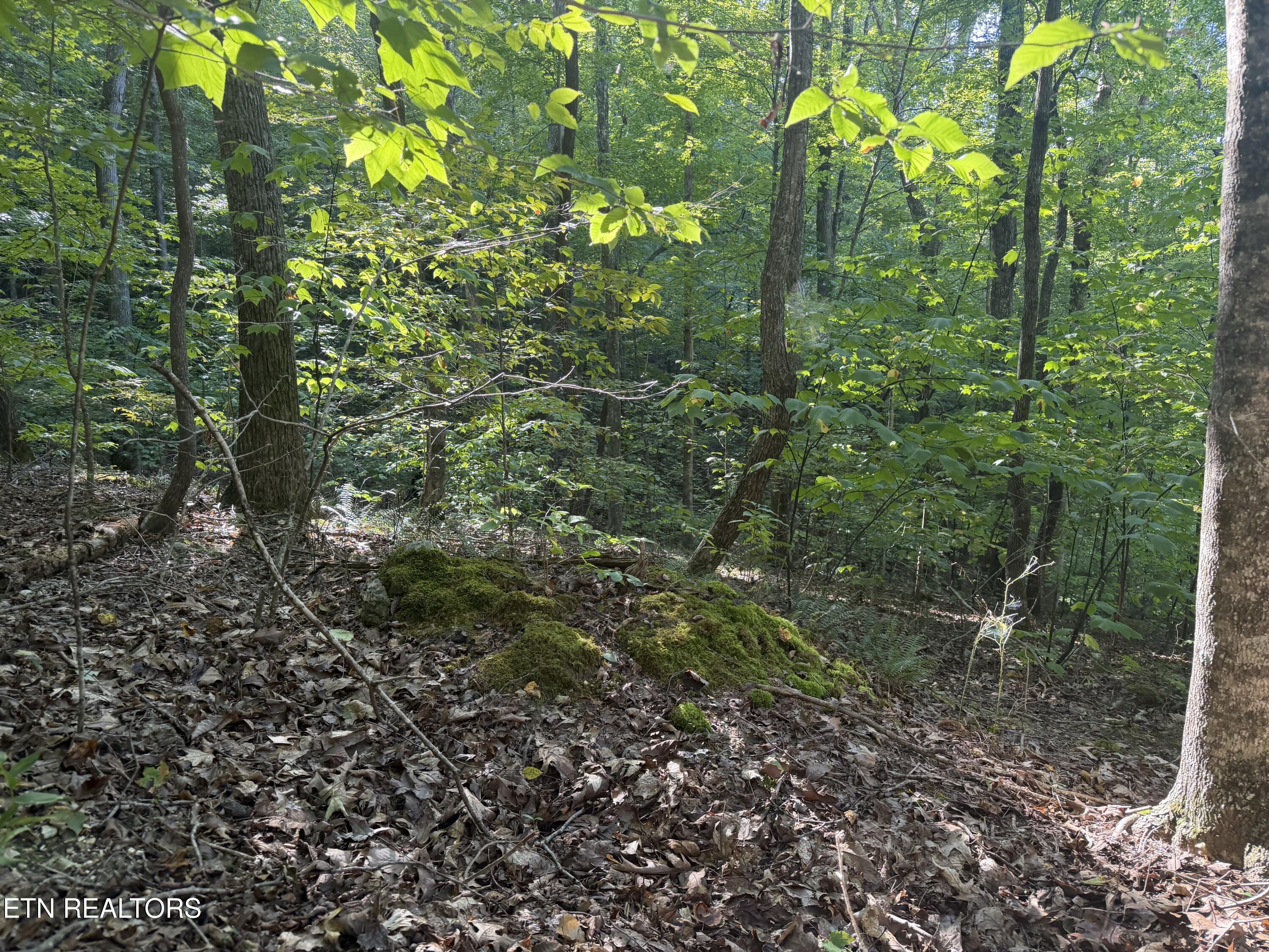 63 Cove Norris Road Caryville TN 37714