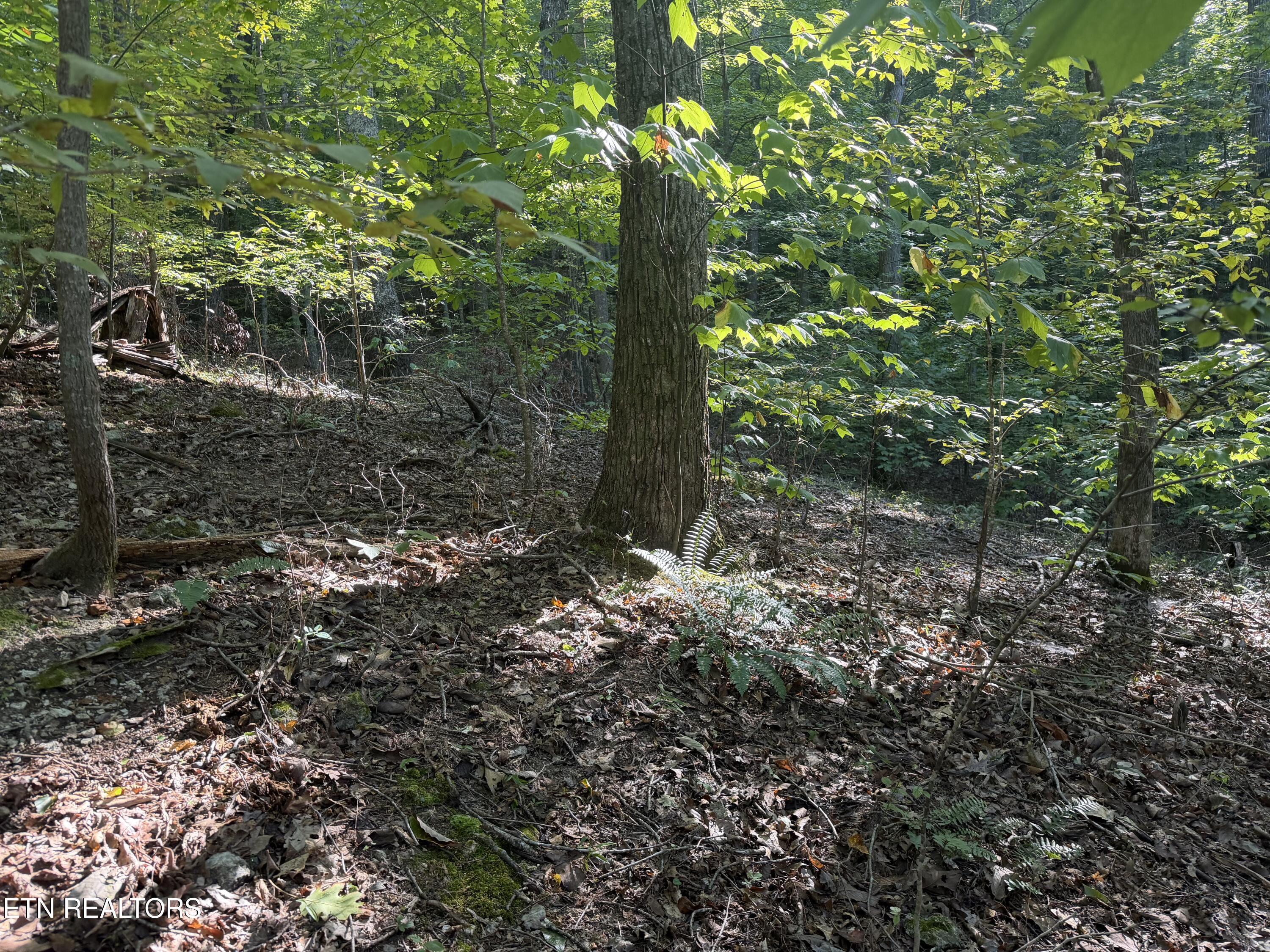 63 Cove Norris Road Caryville TN 37714