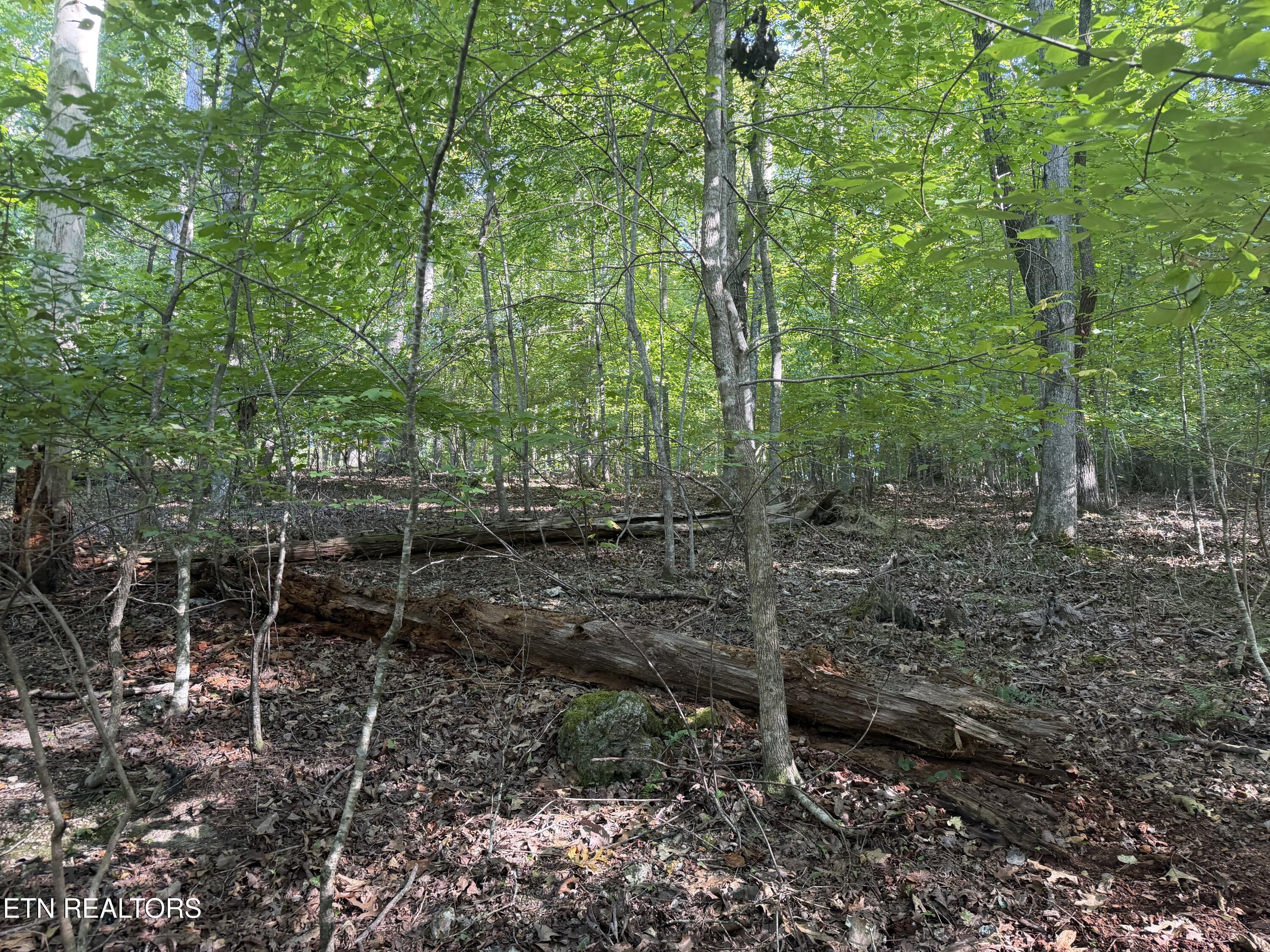 63 Cove Norris Road Caryville TN 37714