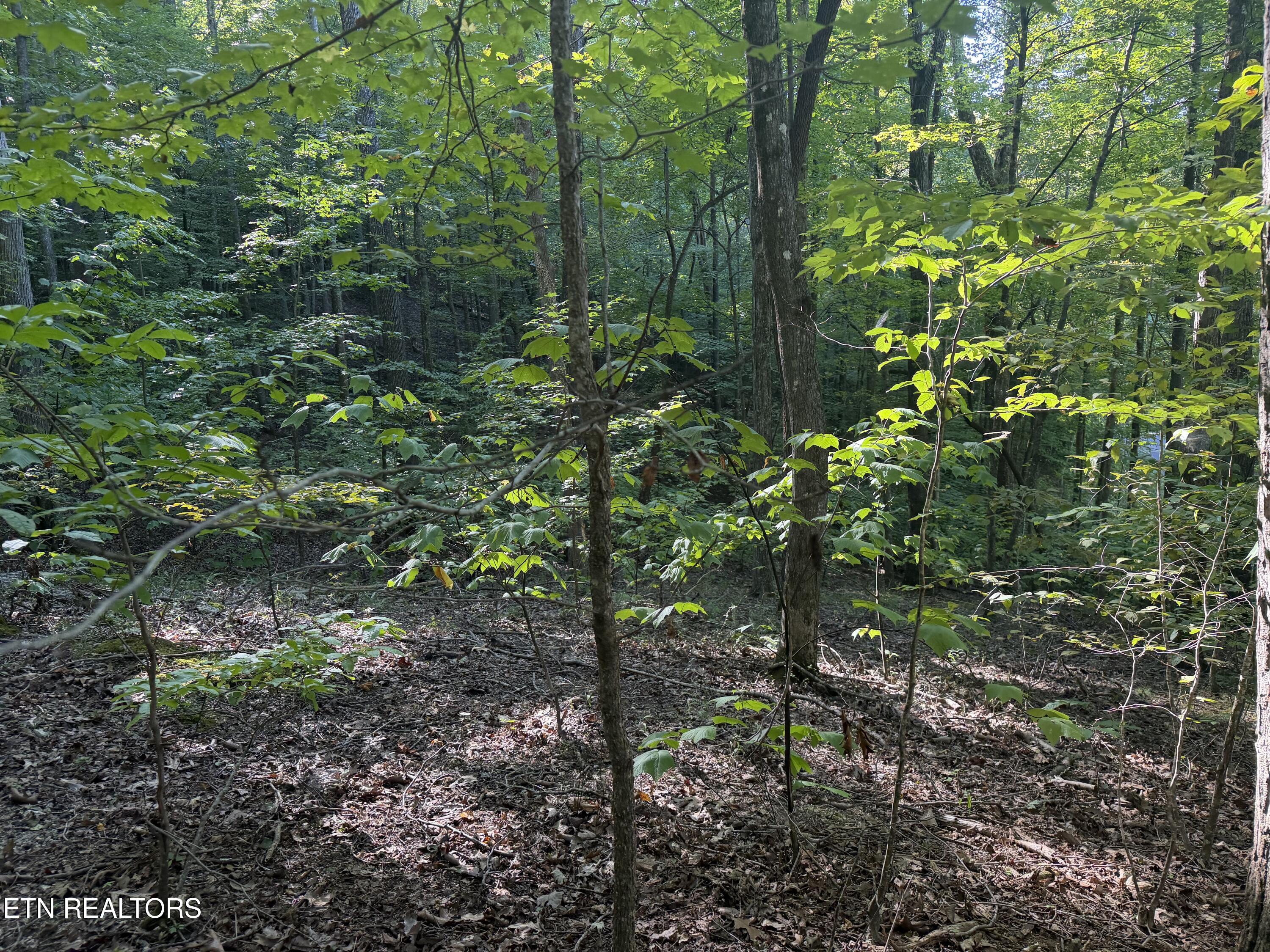 63 Cove Norris Road Caryville TN 37714