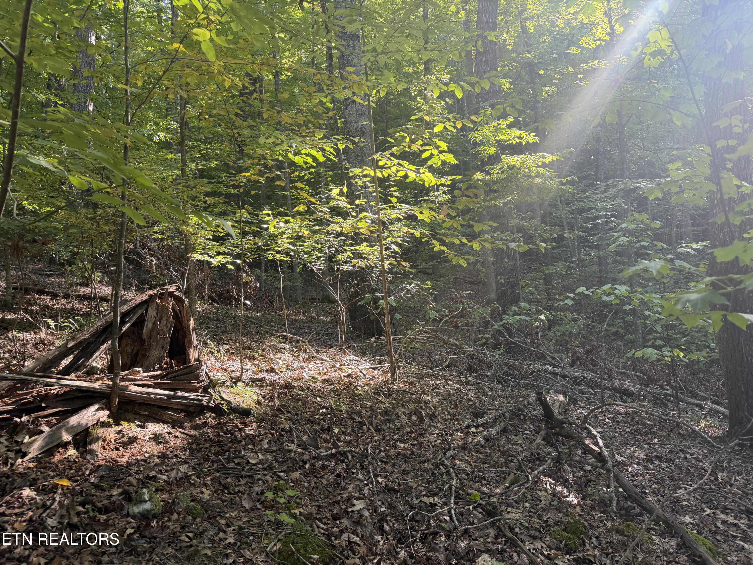 63 Cove Norris Road Caryville TN 37714