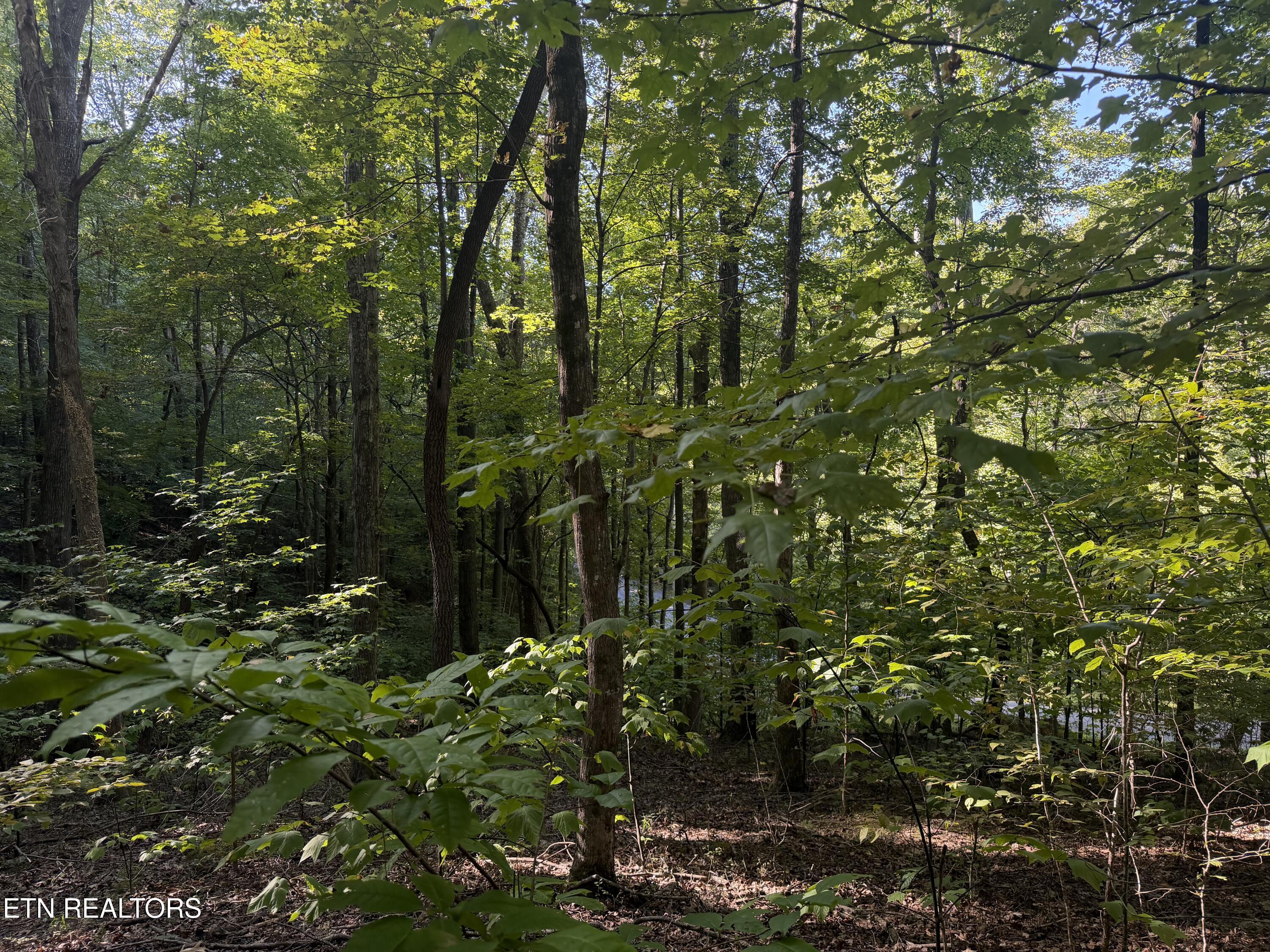 63 Cove Norris Road Caryville TN 37714