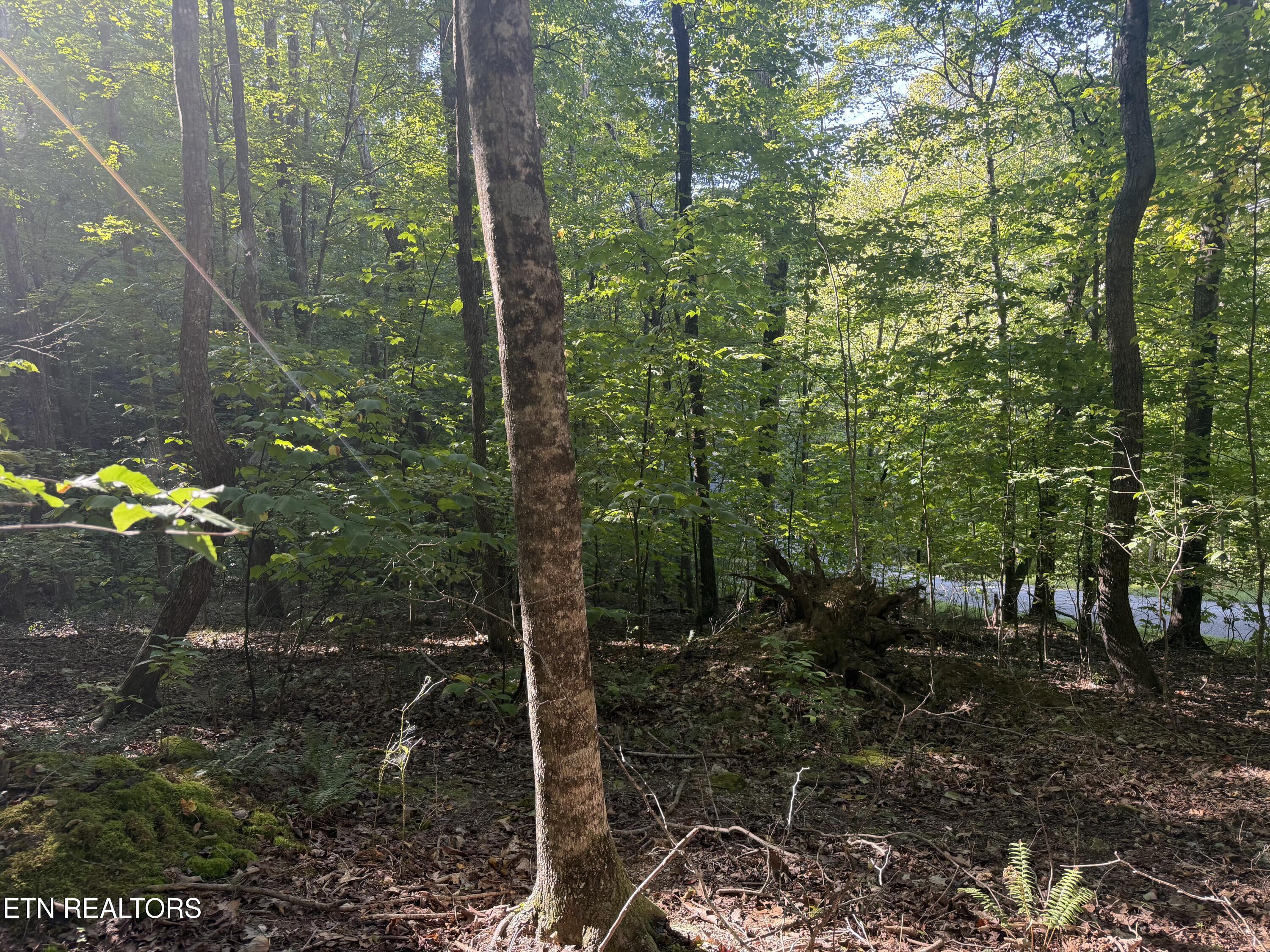 63 Cove Norris Road Caryville TN 37714