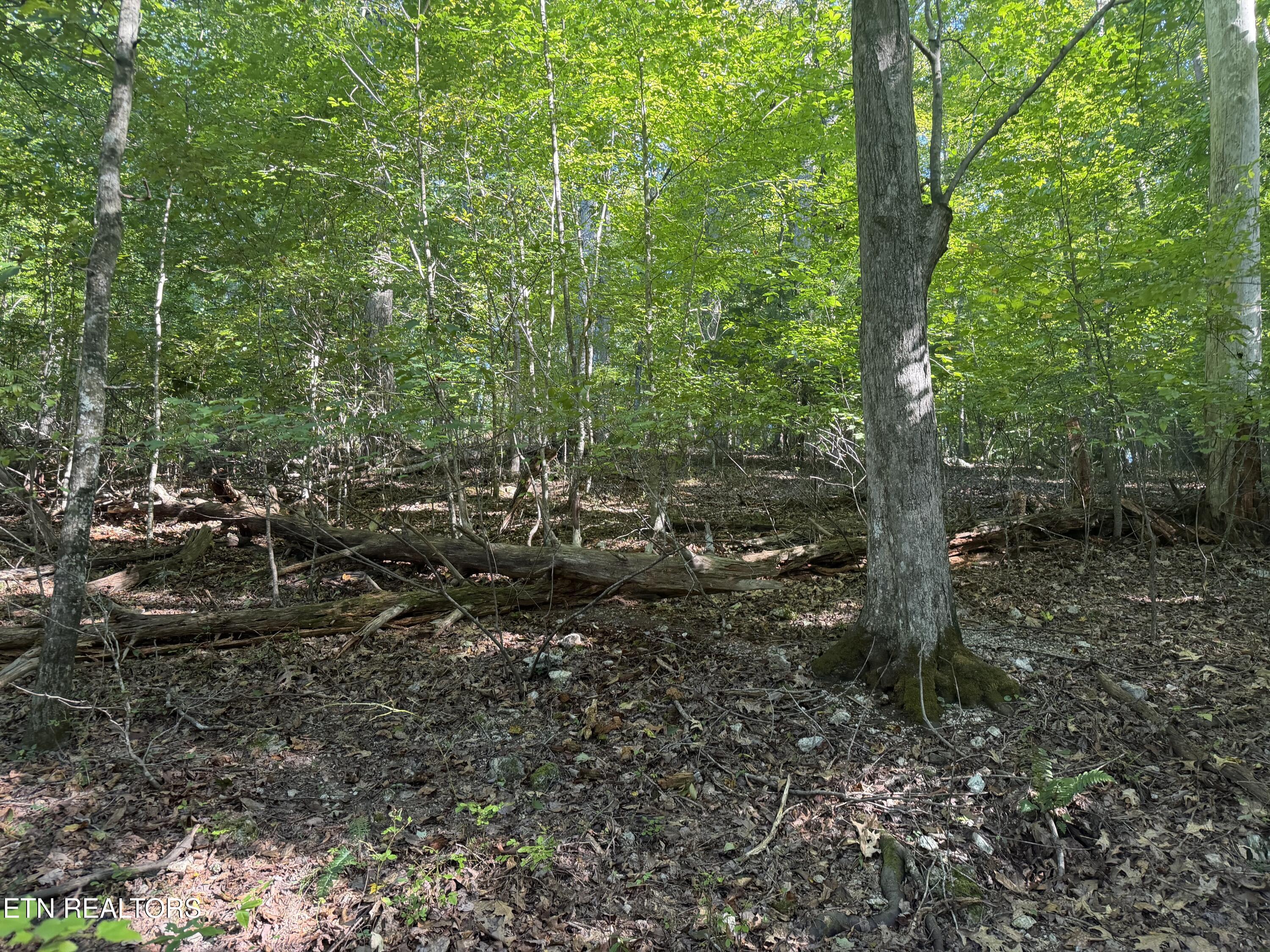 63 Cove Norris Road Caryville TN 37714