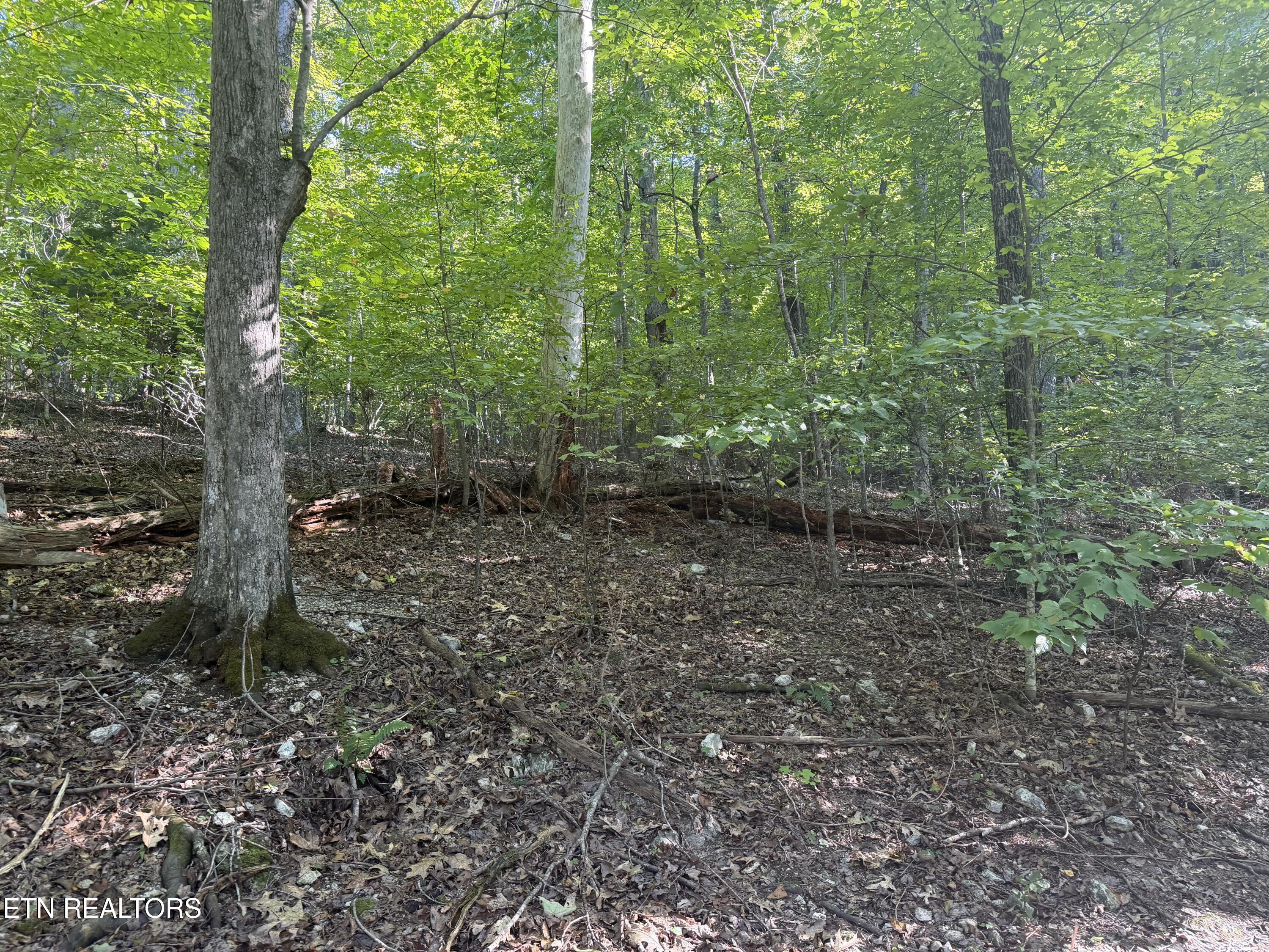 63 Cove Norris Road Caryville TN 37714