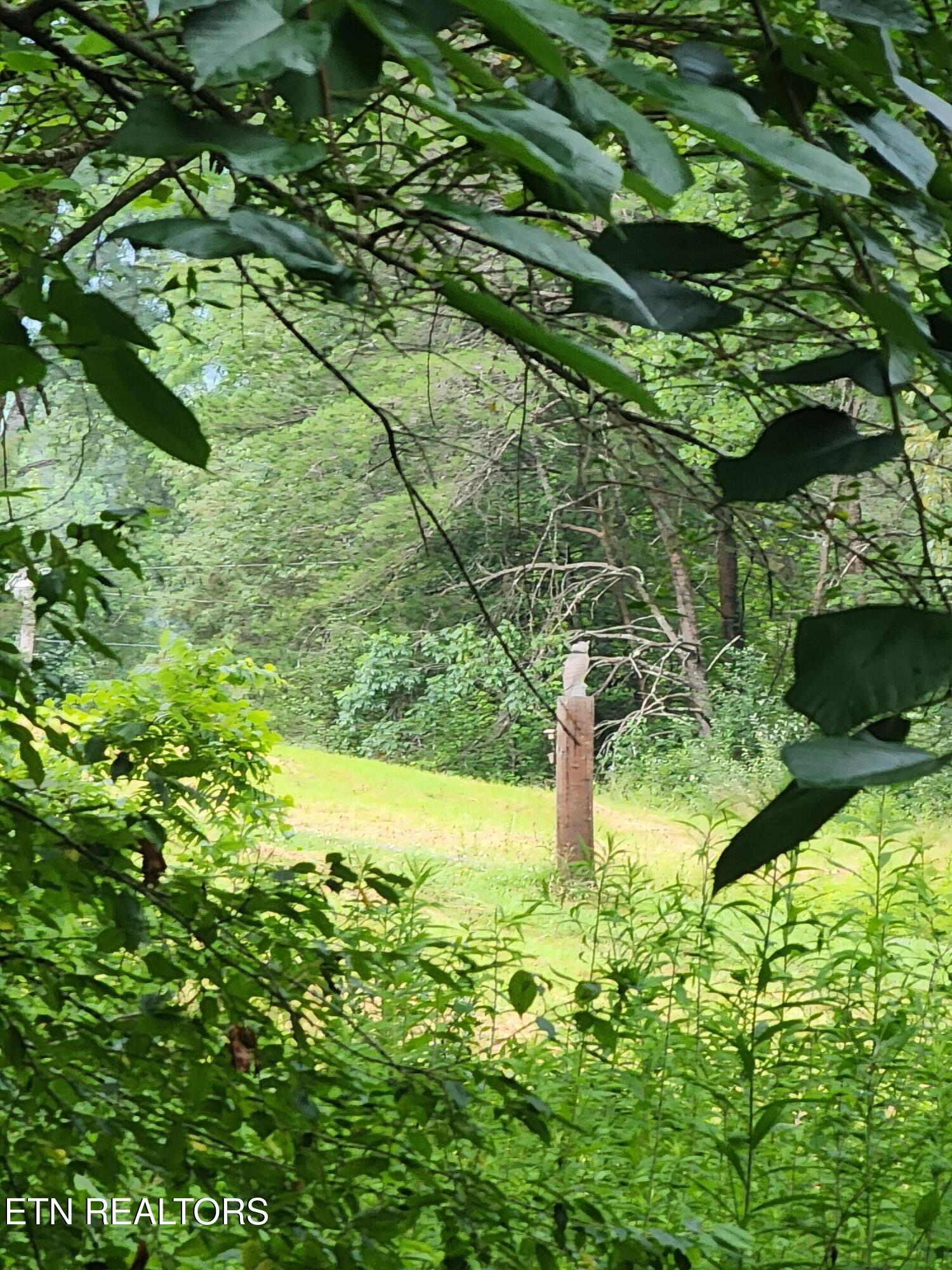 136 Sugar Road Oliver Springs TN 37840