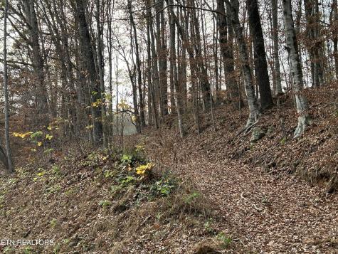 Ridge Crest Road Luttrell TN 37779