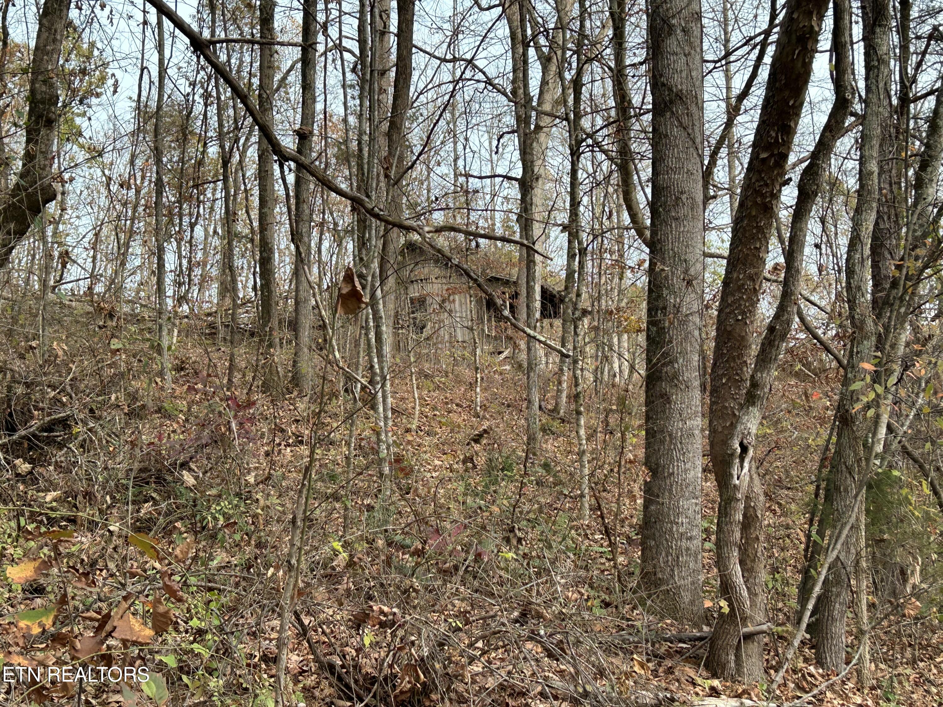 Ridge Crest Road Luttrell TN 37779