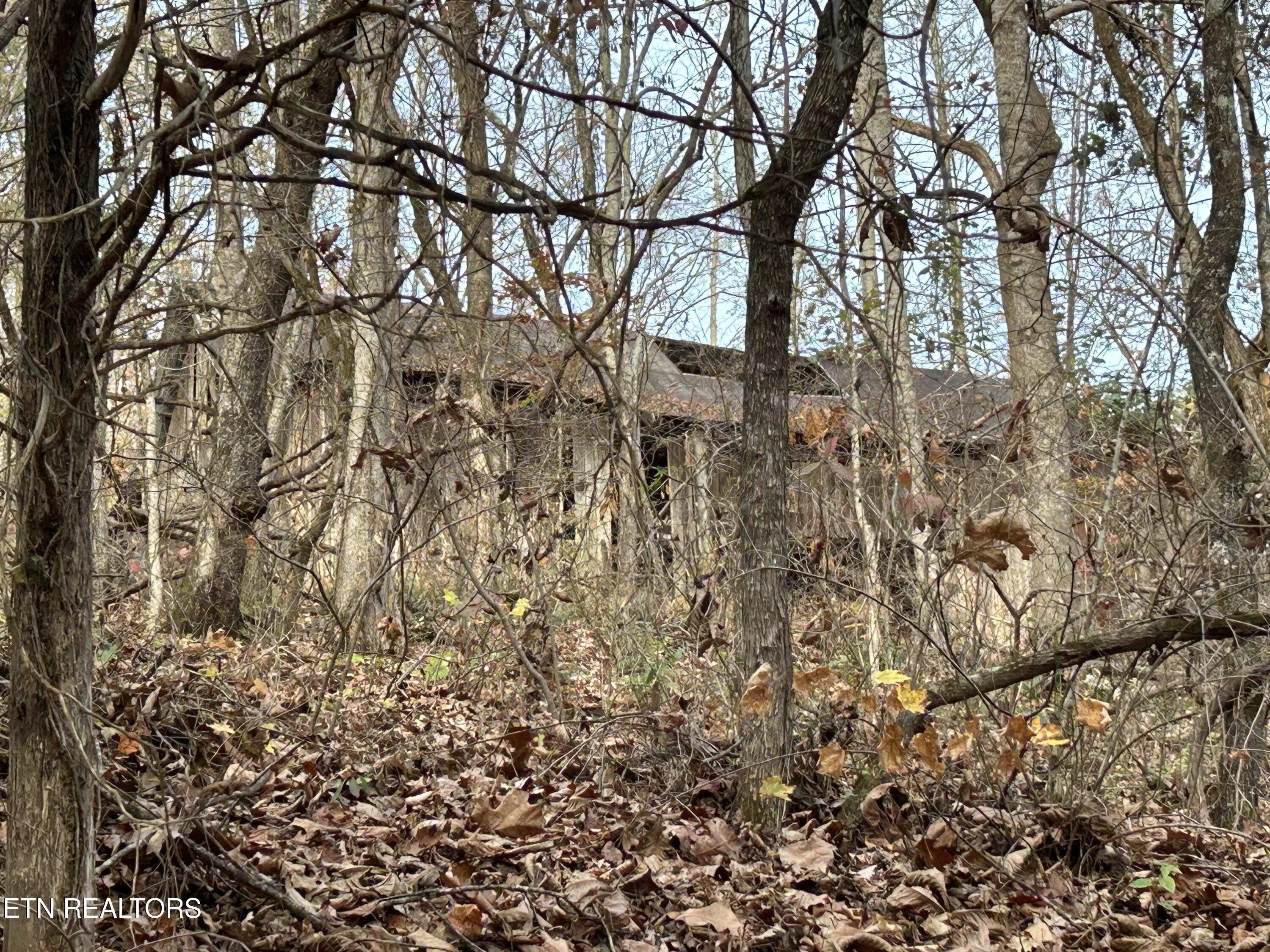 Ridge Crest Road Luttrell TN 37779