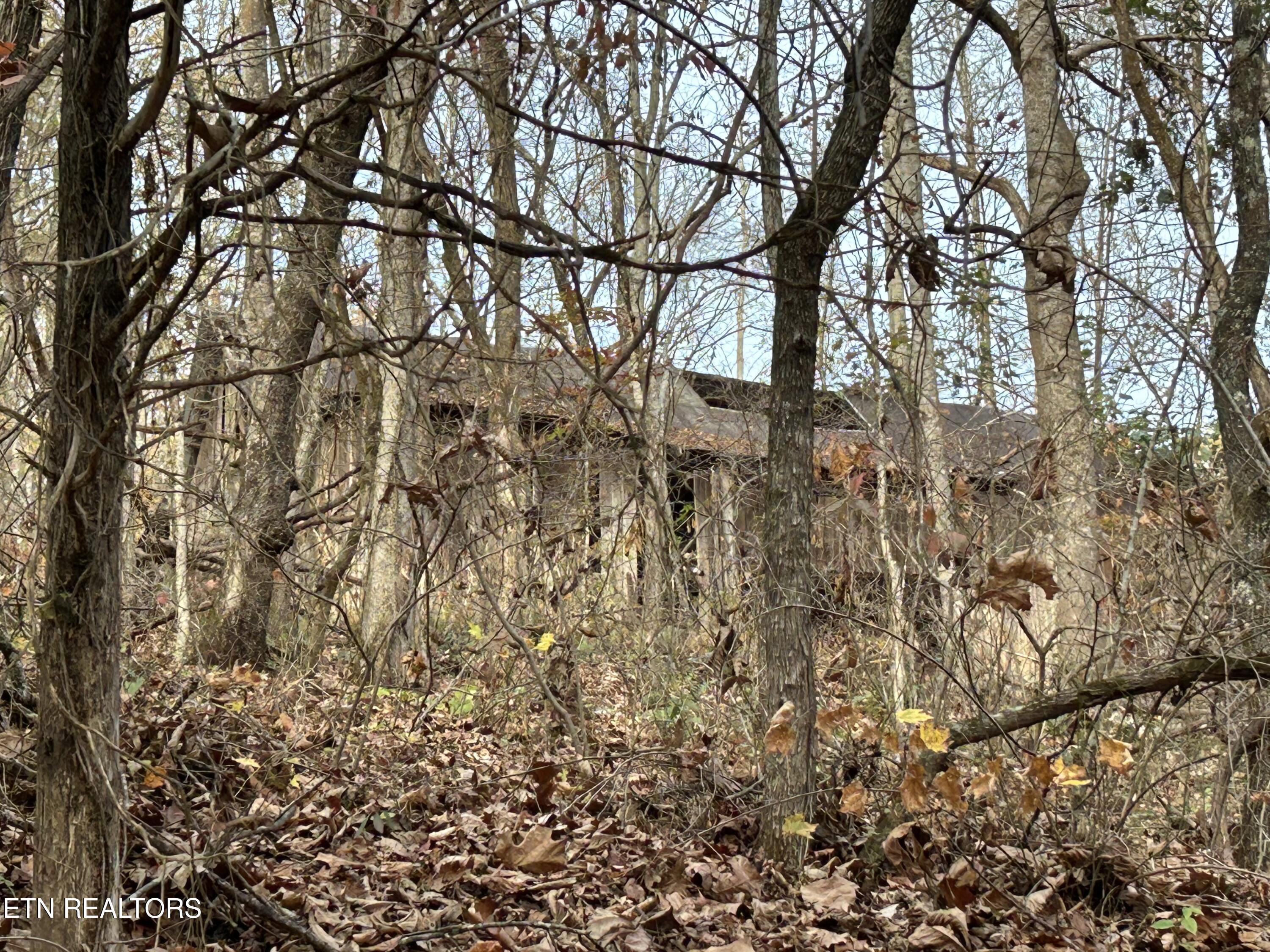 Ridge Crest Road Luttrell TN 37779