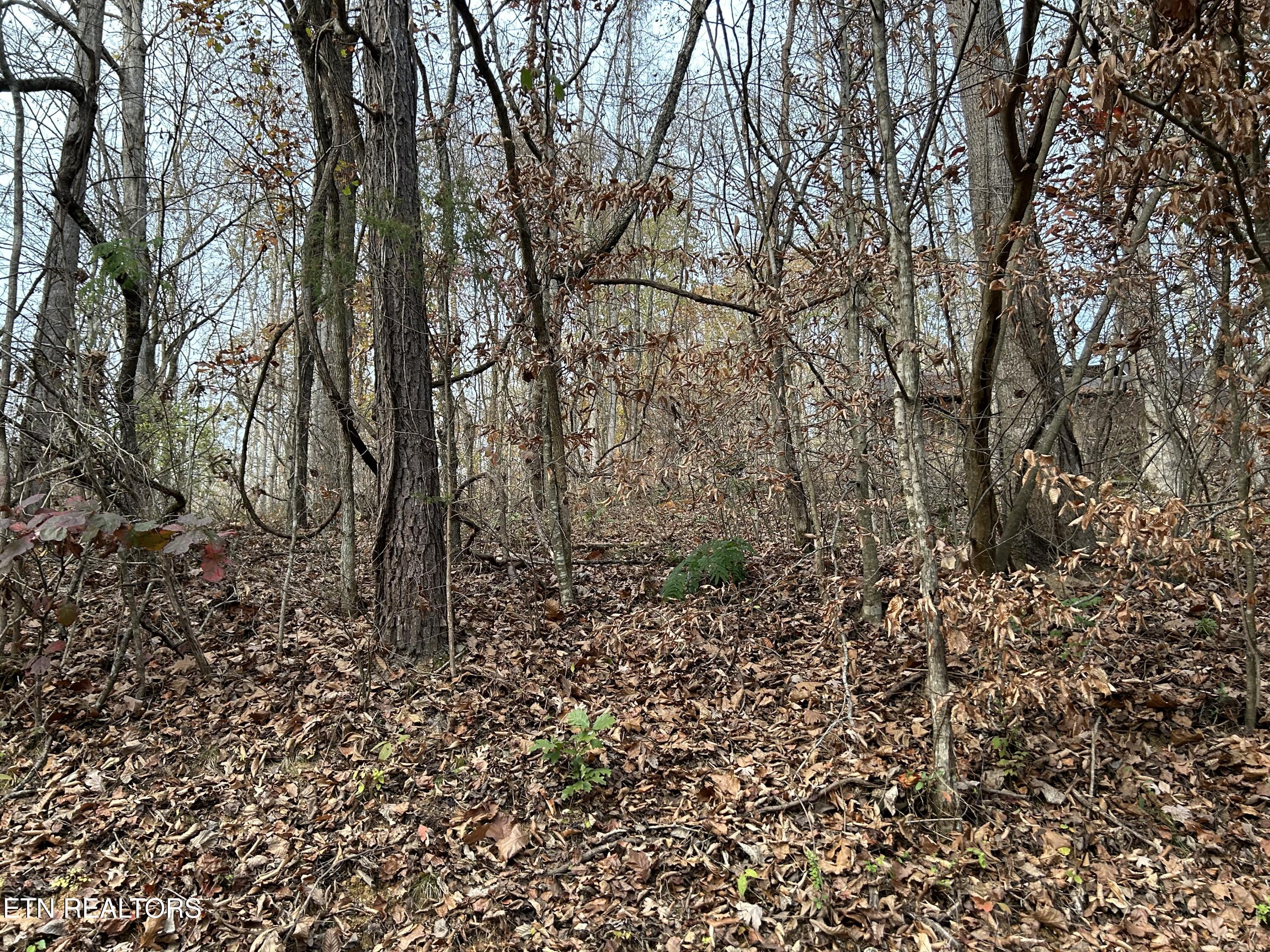Ridge Crest Road Luttrell TN 37779