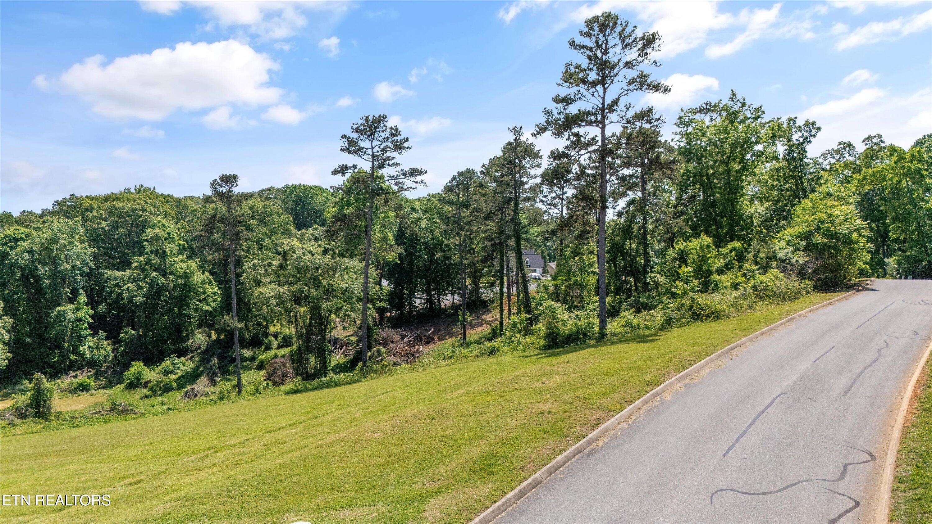 98 Cow Poke Lane Rutledge TN 37861