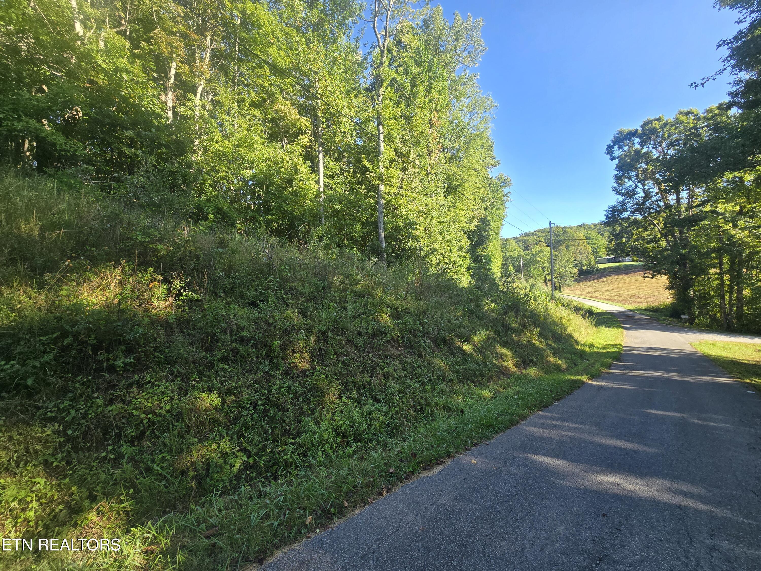 Lot 27-28 Summit Drive Oneida TN 37841