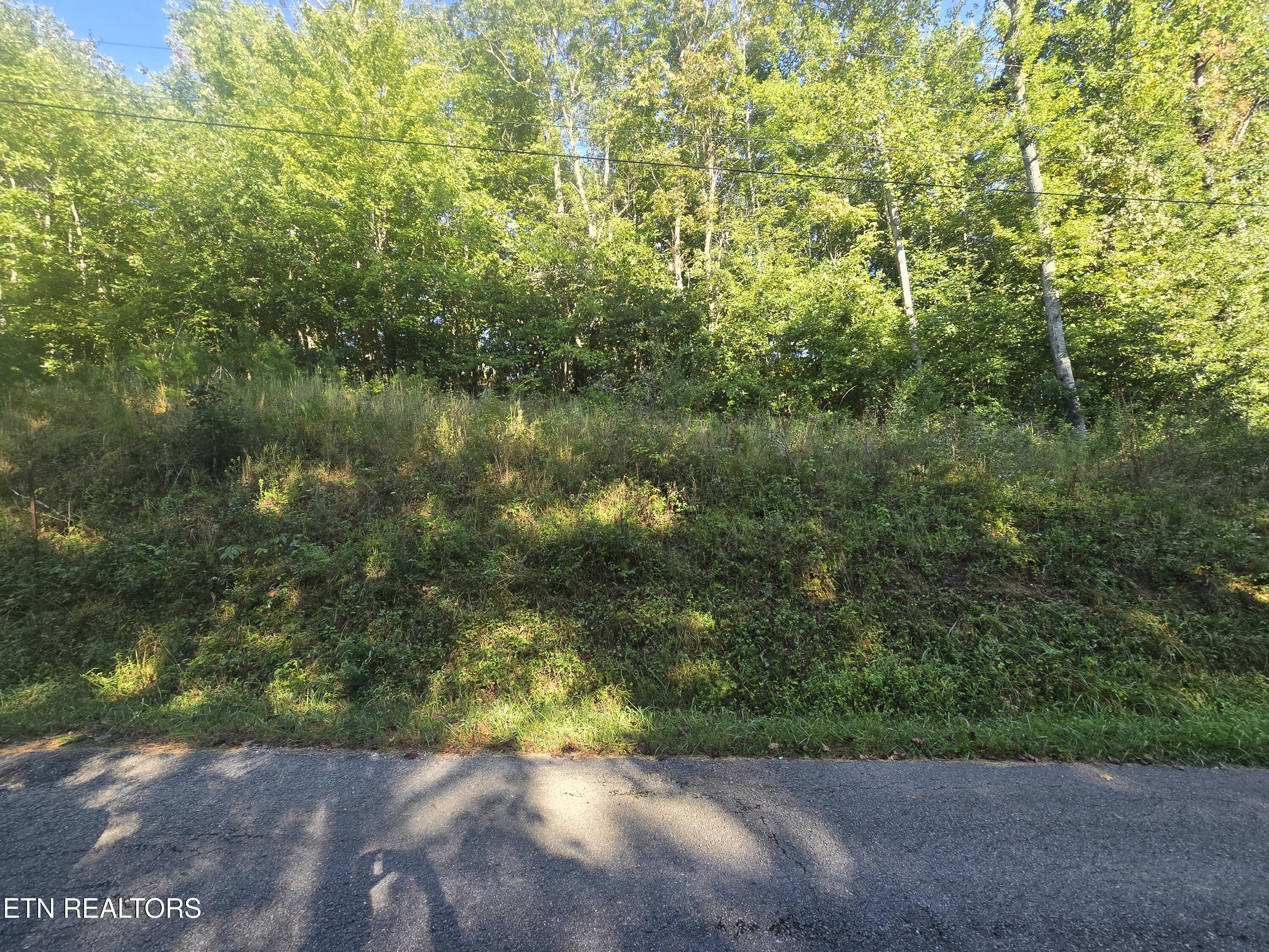 Lot 27-28 Summit Drive Oneida TN 37841