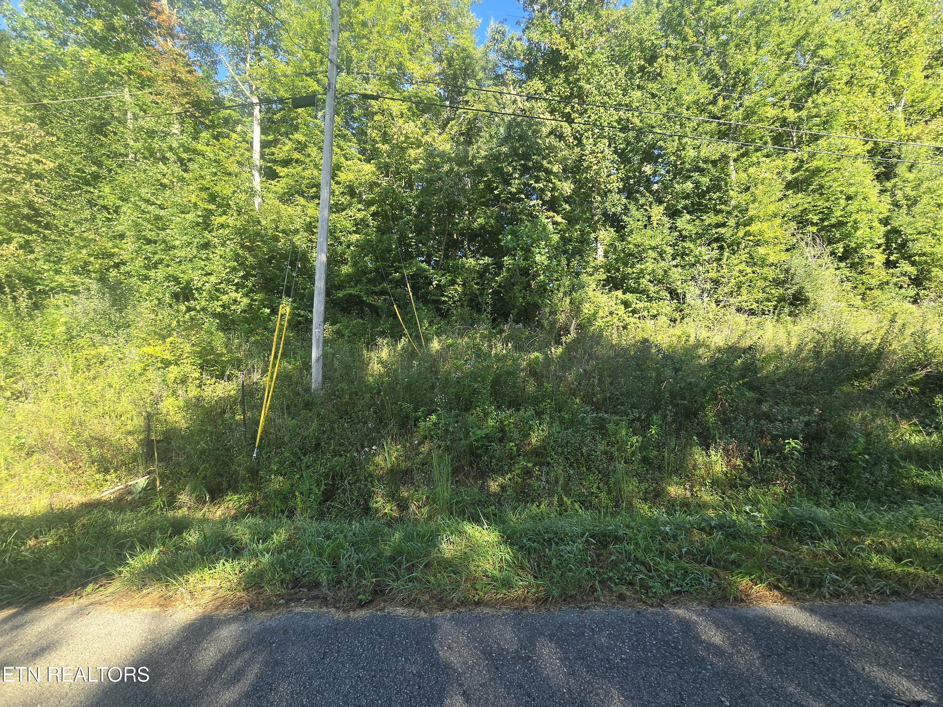 Lot 27-28 Summit Drive Oneida TN 37841