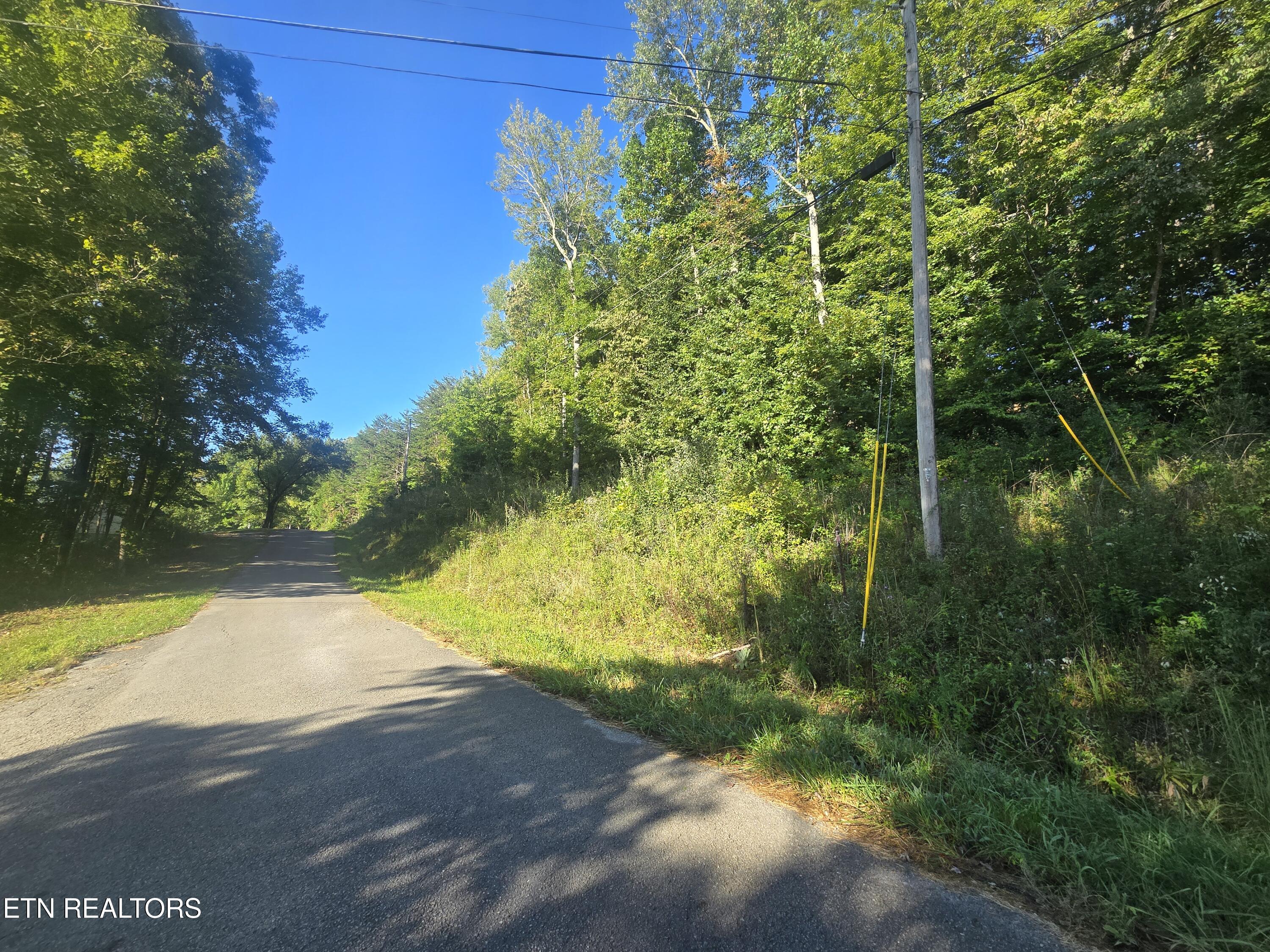 Lot 27-28 Summit Drive Oneida TN 37841