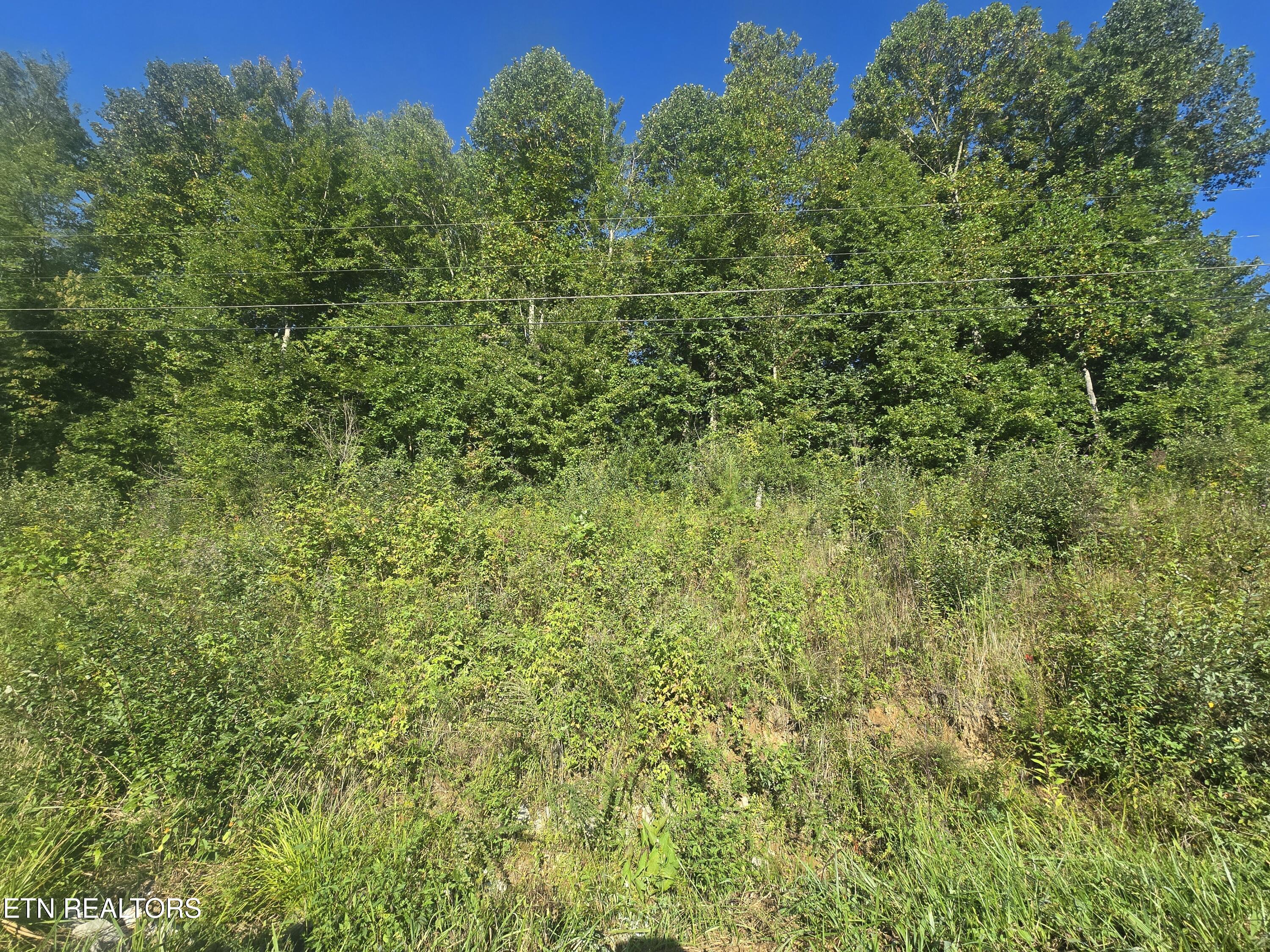 Lot 27-28 Summit Drive Oneida TN 37841