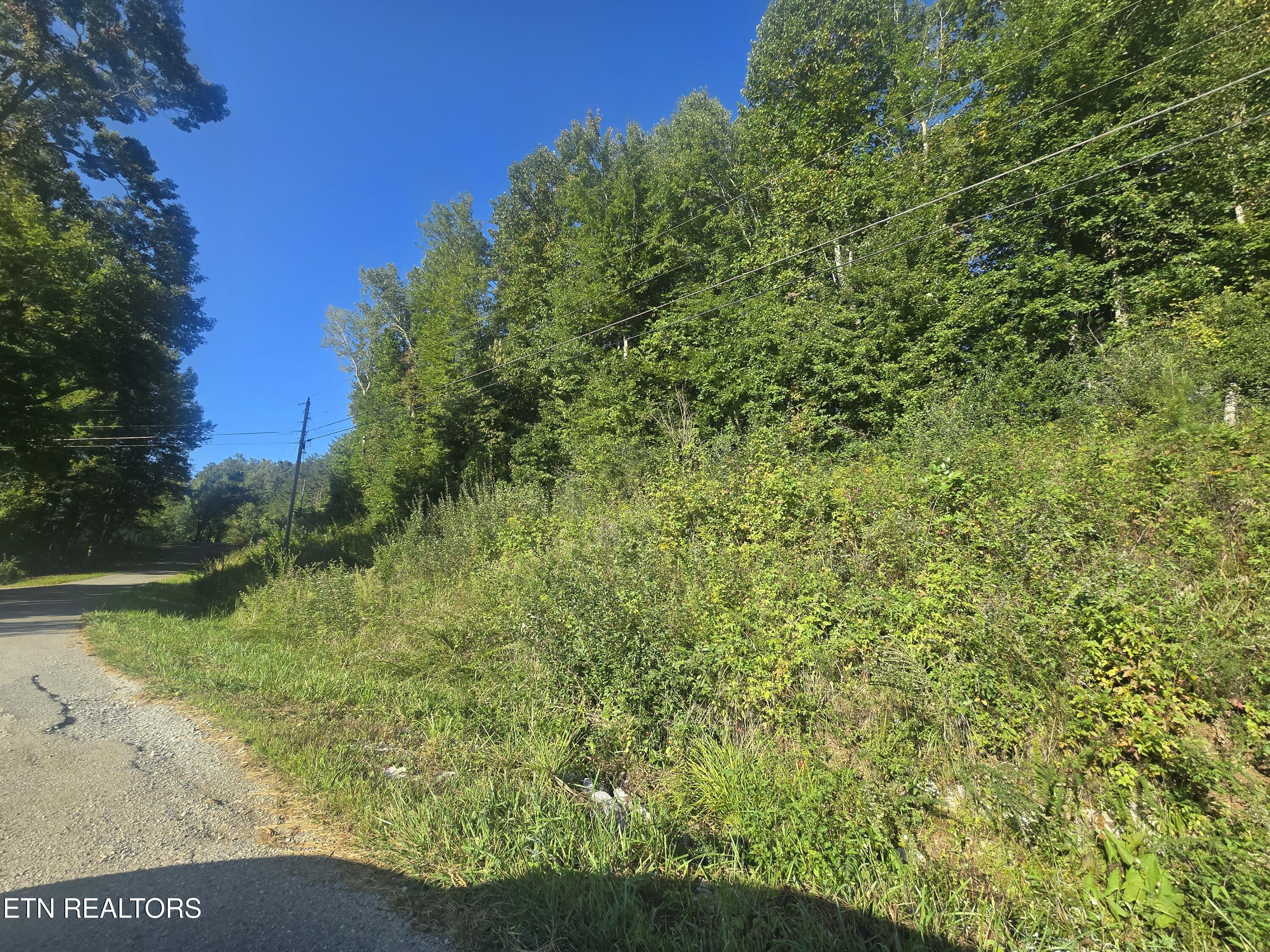 Lot 27-28 Summit Drive Oneida TN 37841