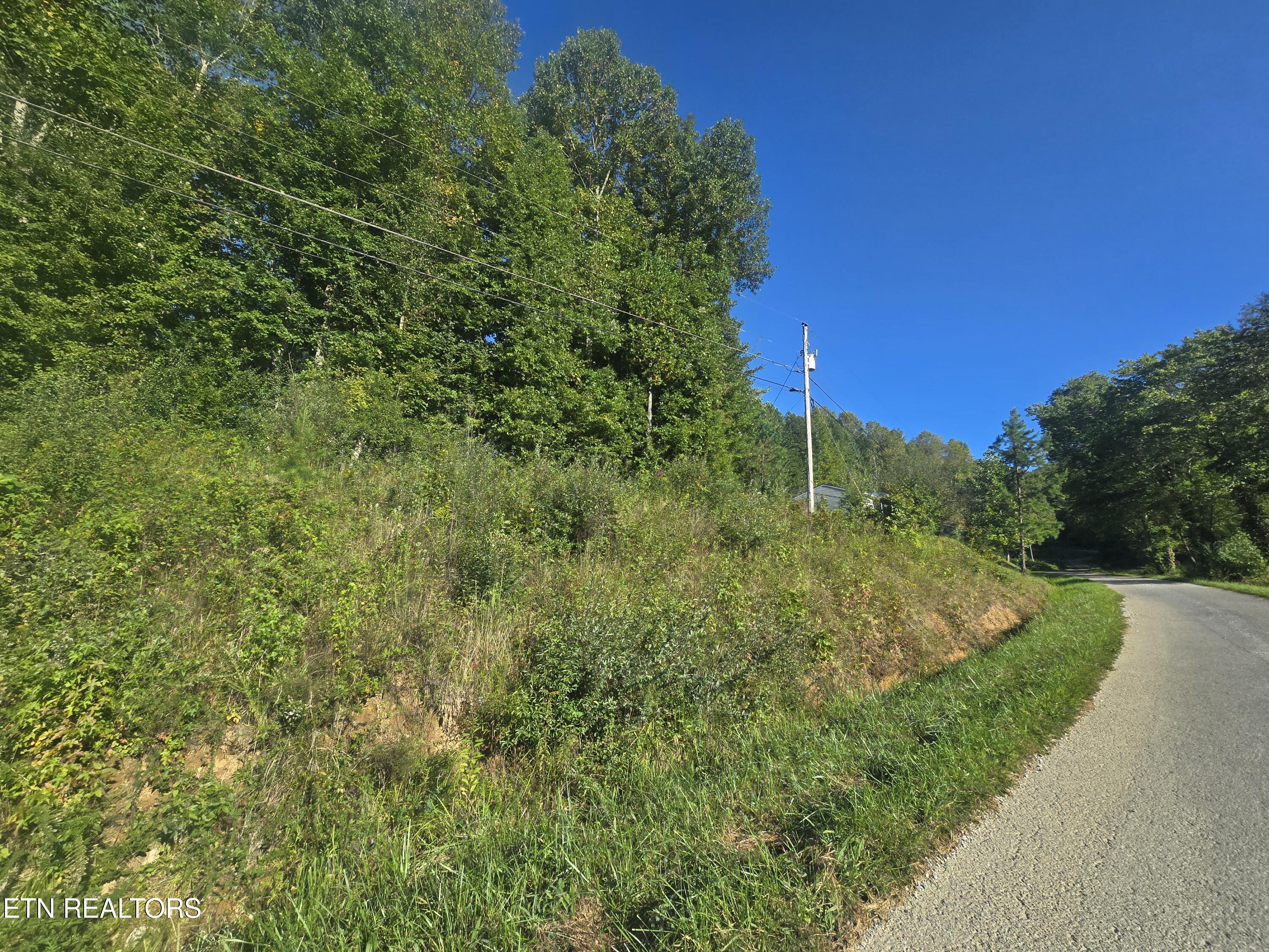 Lot 27-28 Summit Drive Oneida TN 37841
