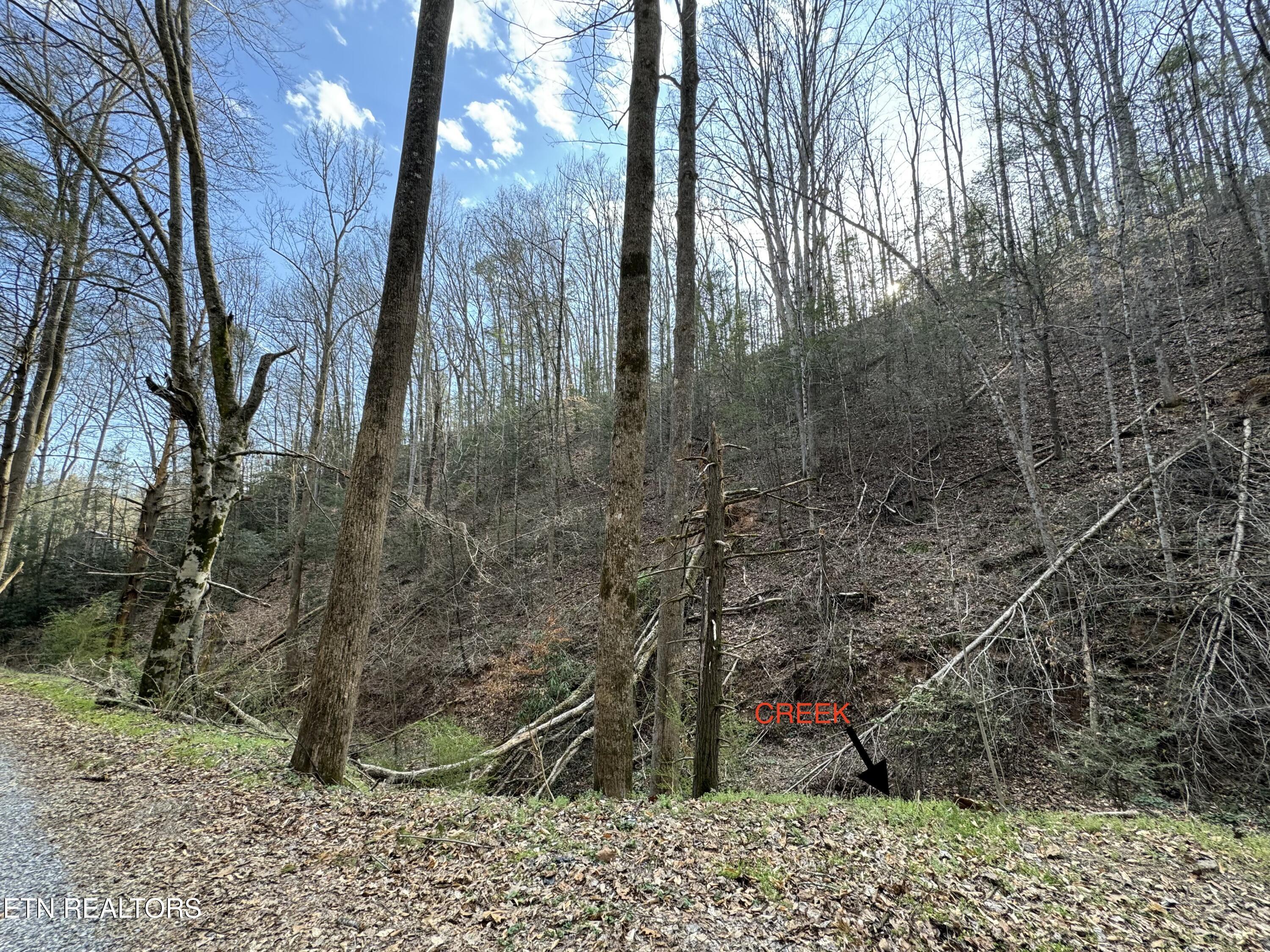 Hobe Maples Way Sevierville TN 37876