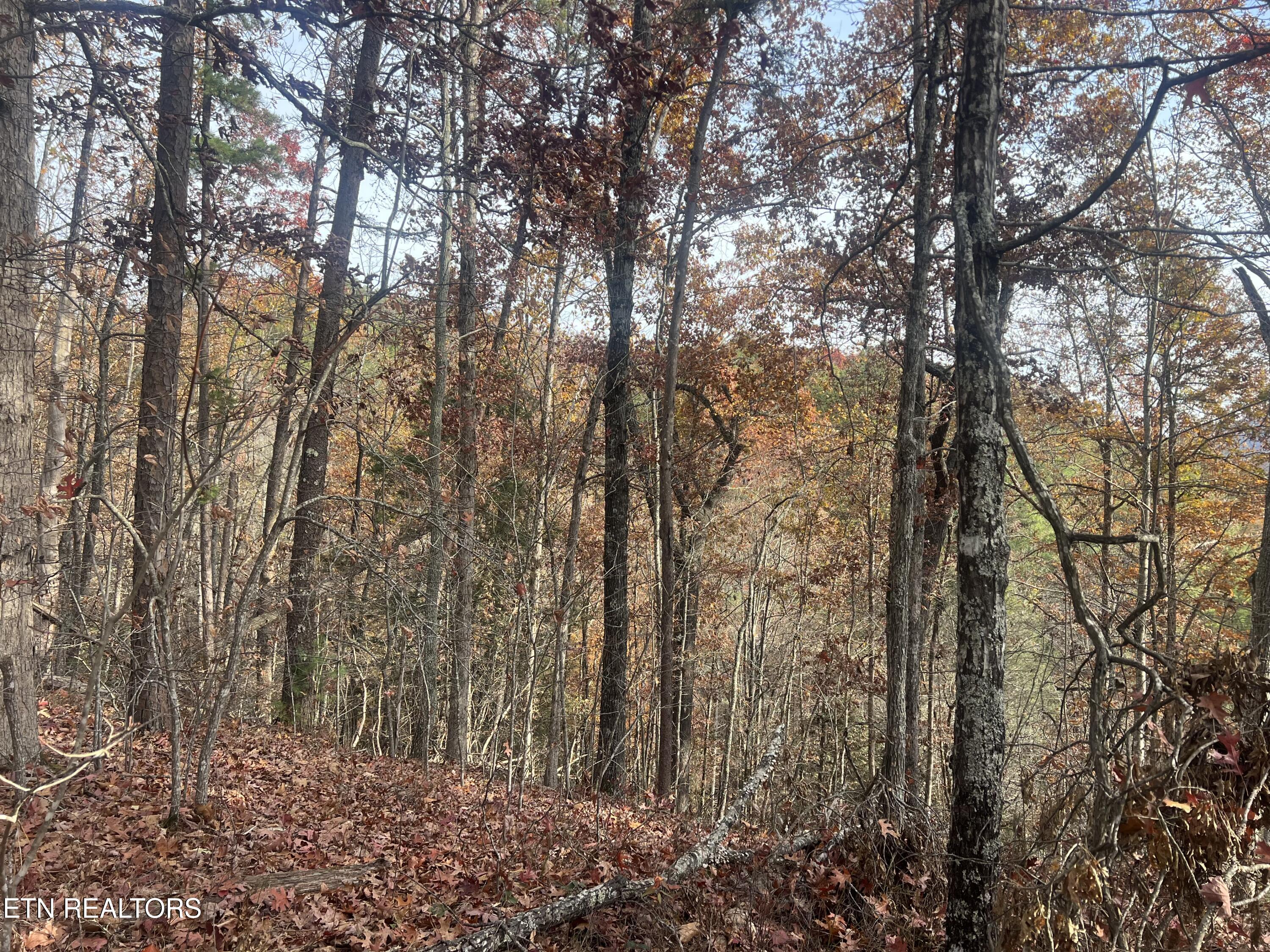 Hobe Maples Way Sevierville TN 37876