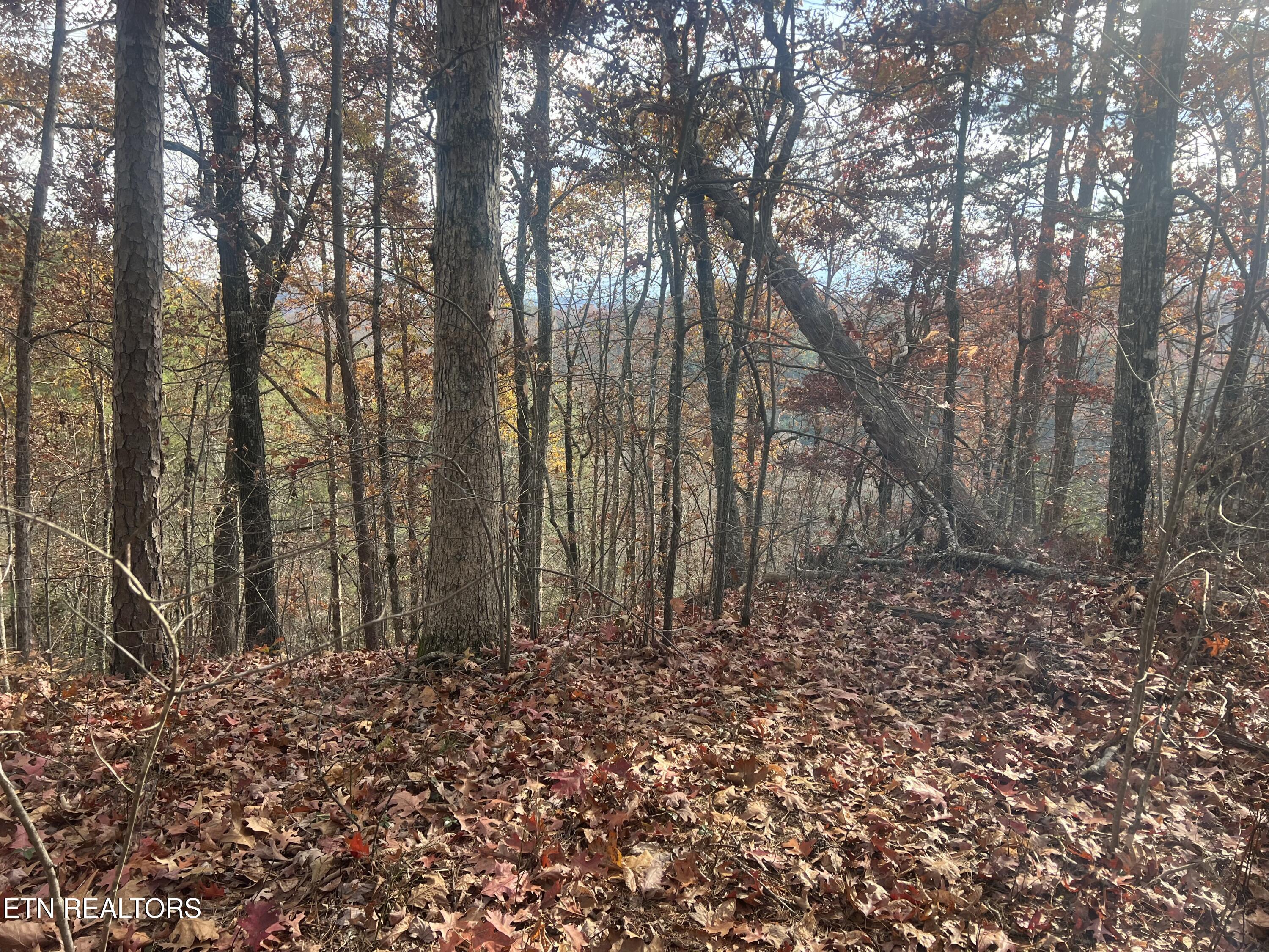 Hobe Maples Way Sevierville TN 37876