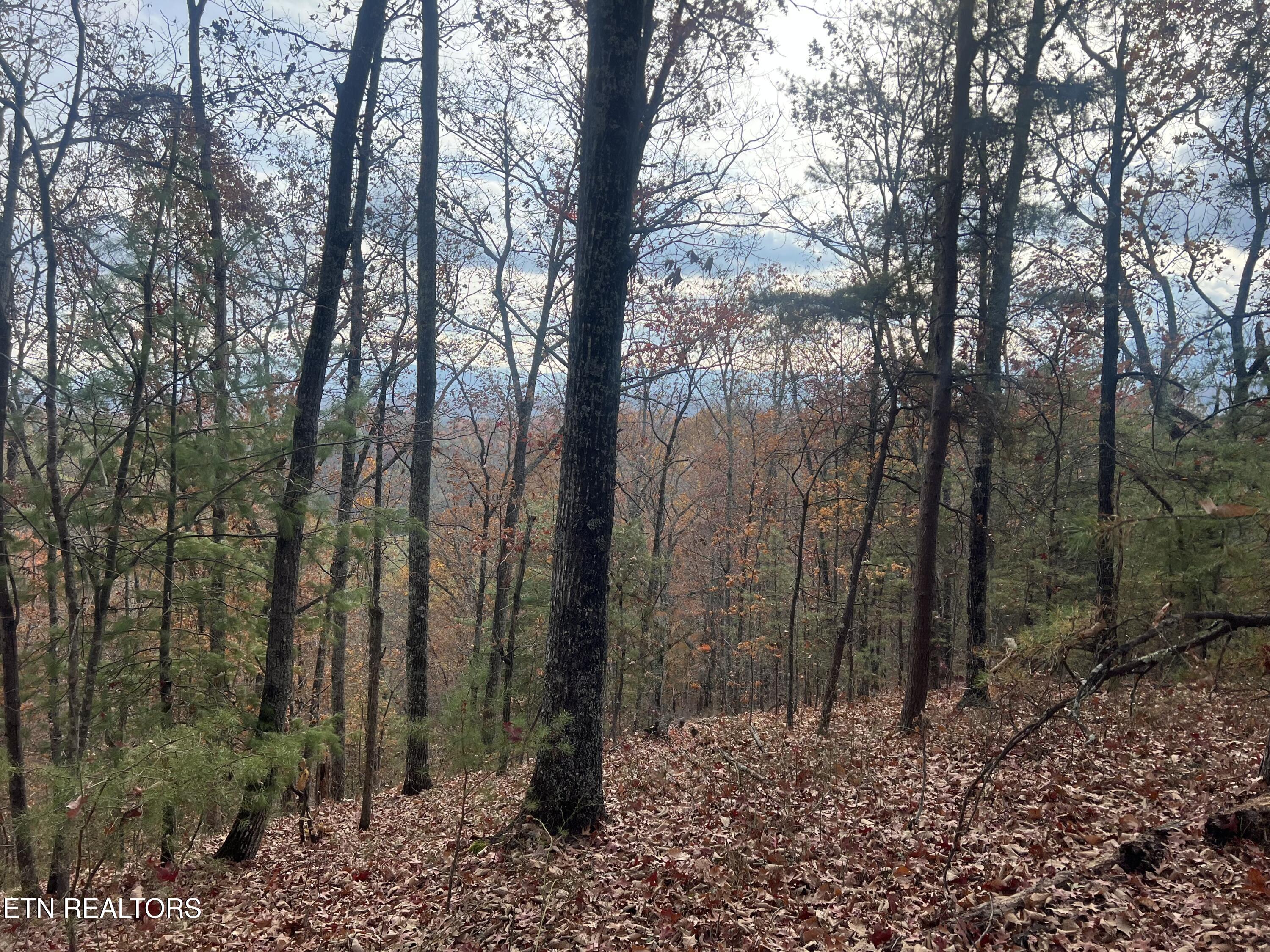 Hobe Maples Way Sevierville TN 37876