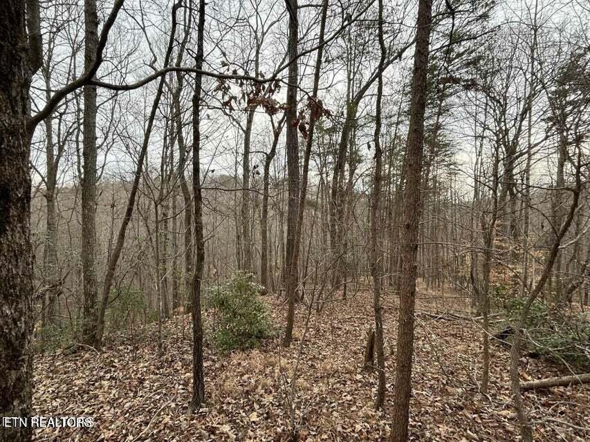 Black Hawk Drive Ten Mile TN 37880