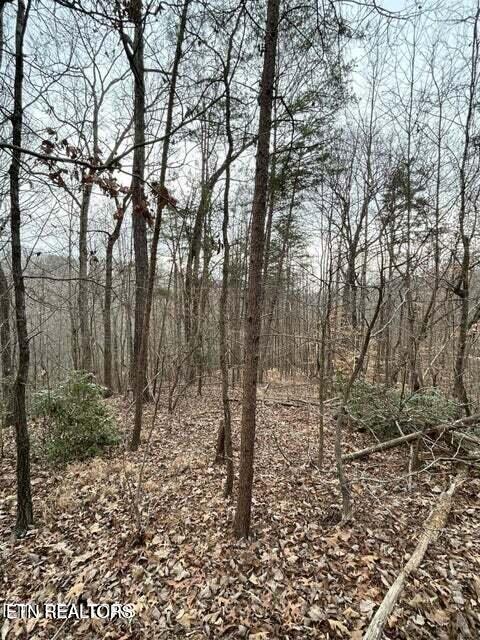 Black Hawk Drive Ten Mile TN 37880