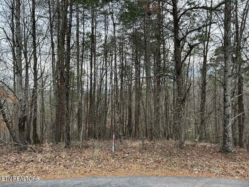 Black Hawk Drive Ten Mile TN 37880