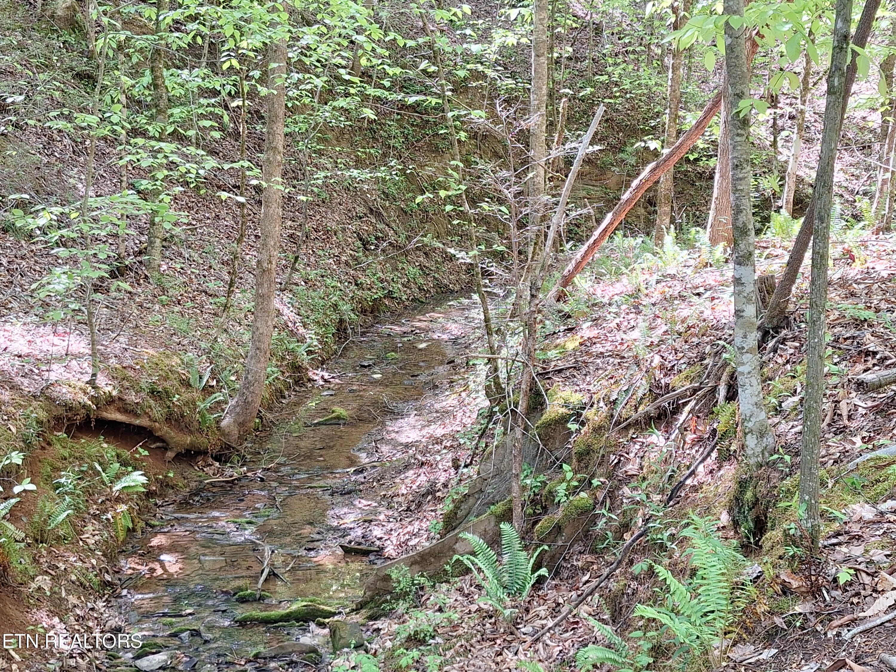 Payne Road Tellico Plains TN 37385