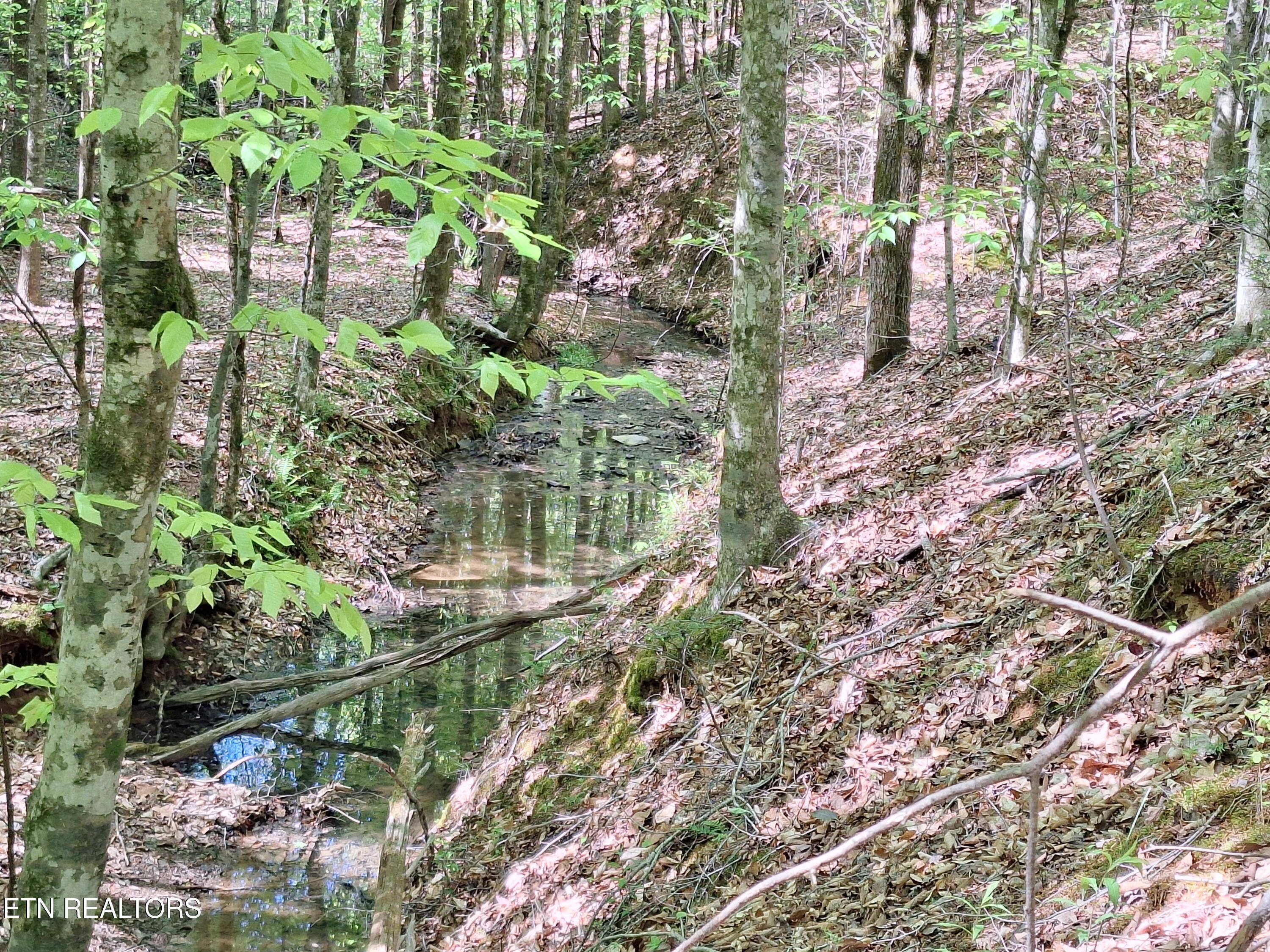 Payne Road Tellico Plains TN 37385