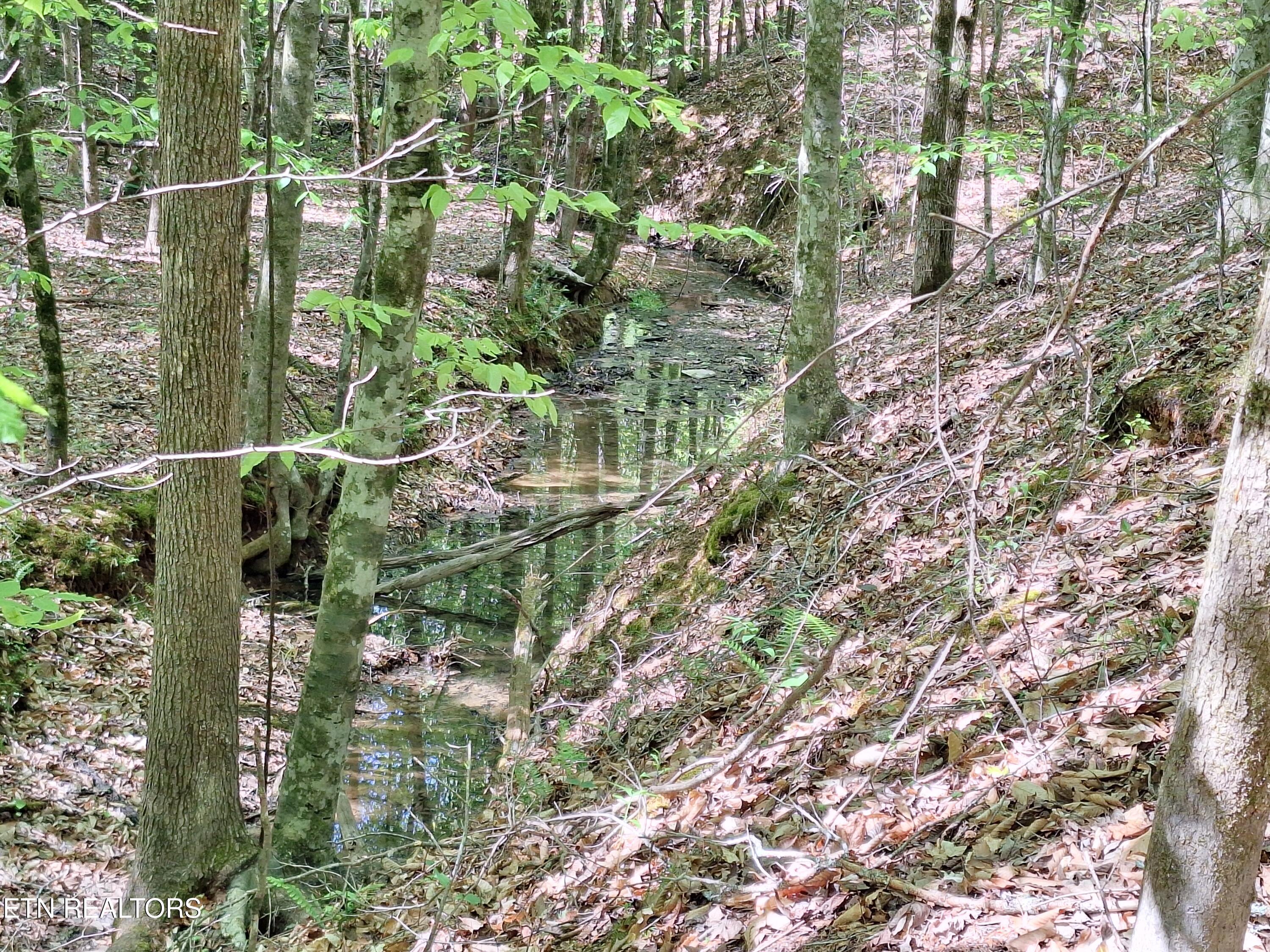 Payne Road Tellico Plains TN 37385