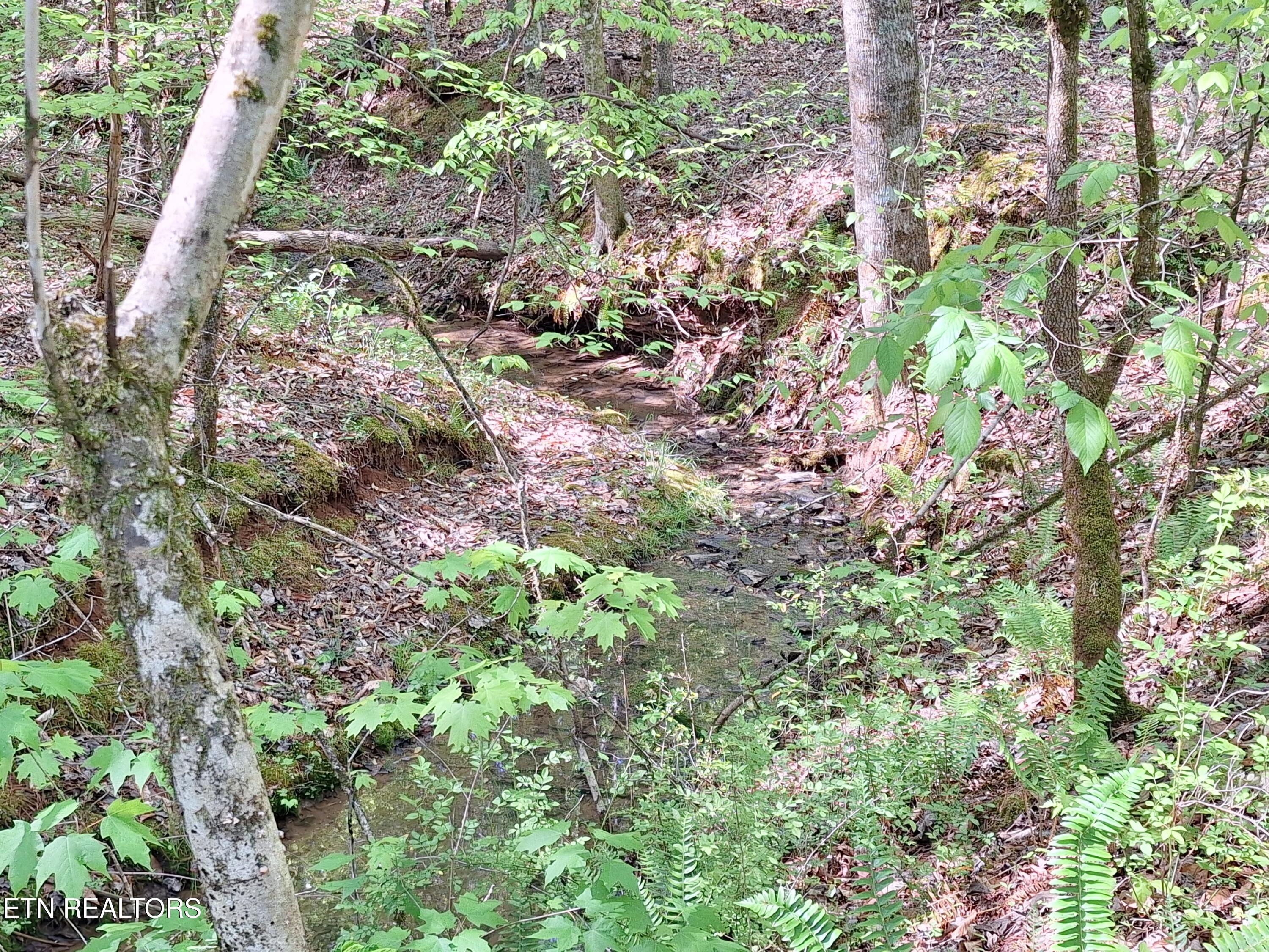 Payne Road Tellico Plains TN 37385
