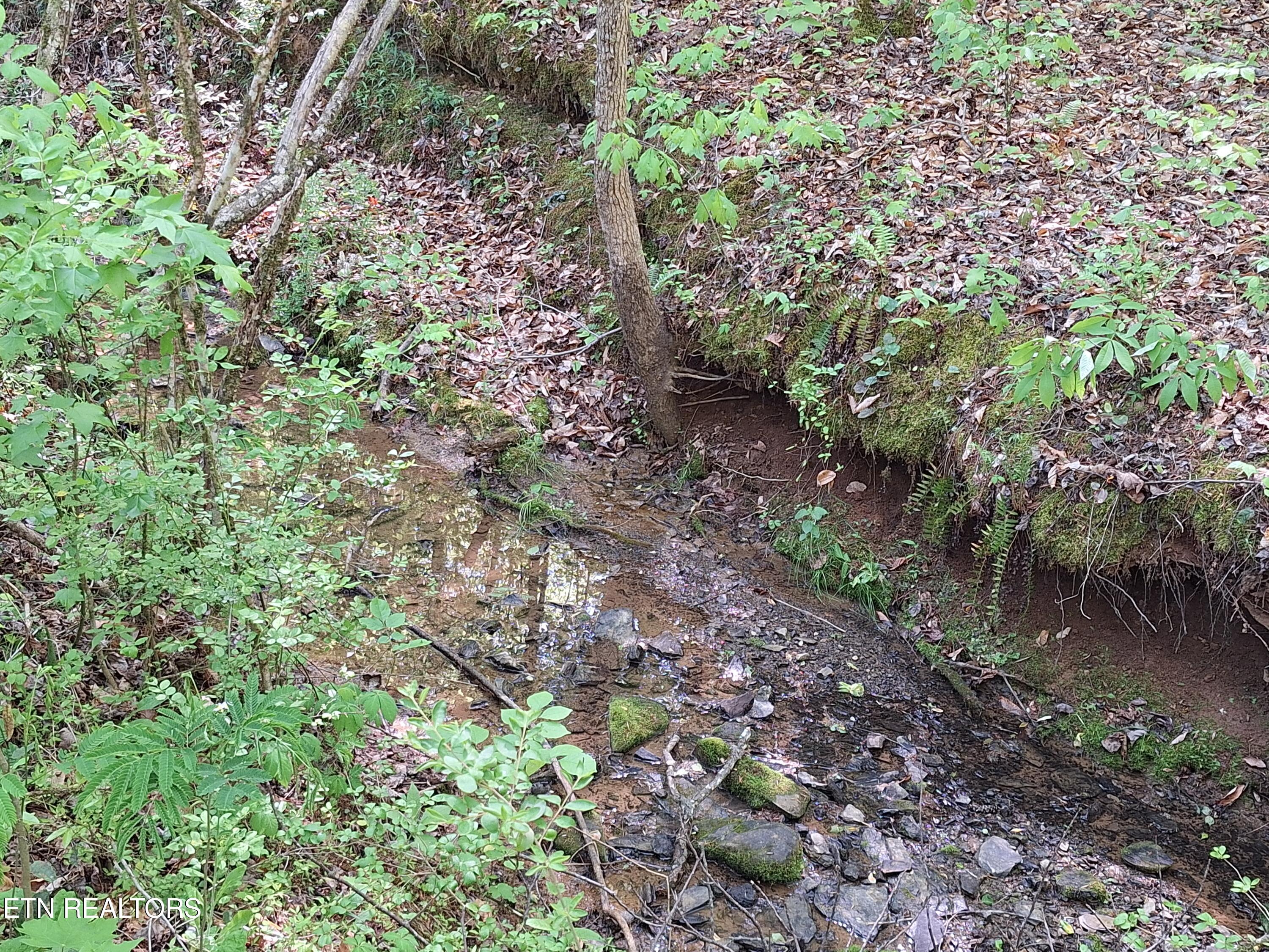 Payne Road Tellico Plains TN 37385