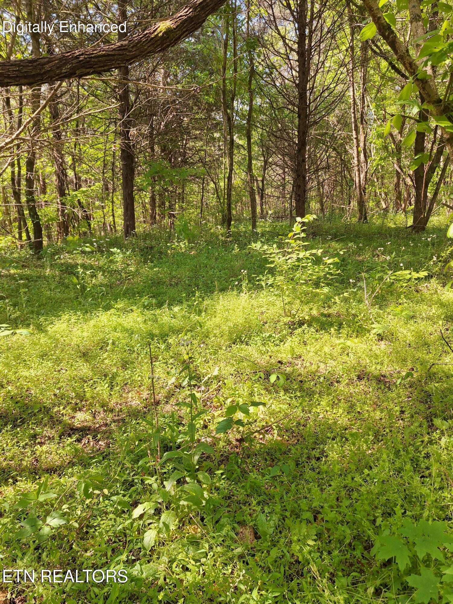 Payne Road Tellico Plains TN 37385