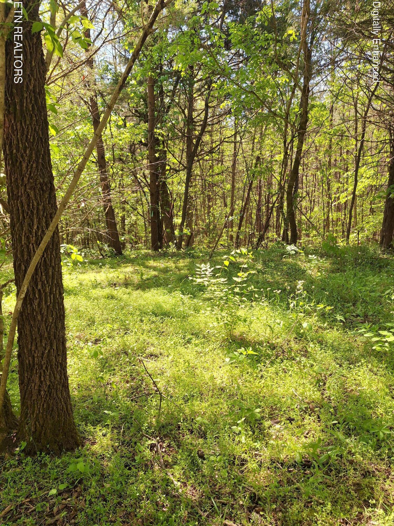 Payne Road Tellico Plains TN 37385