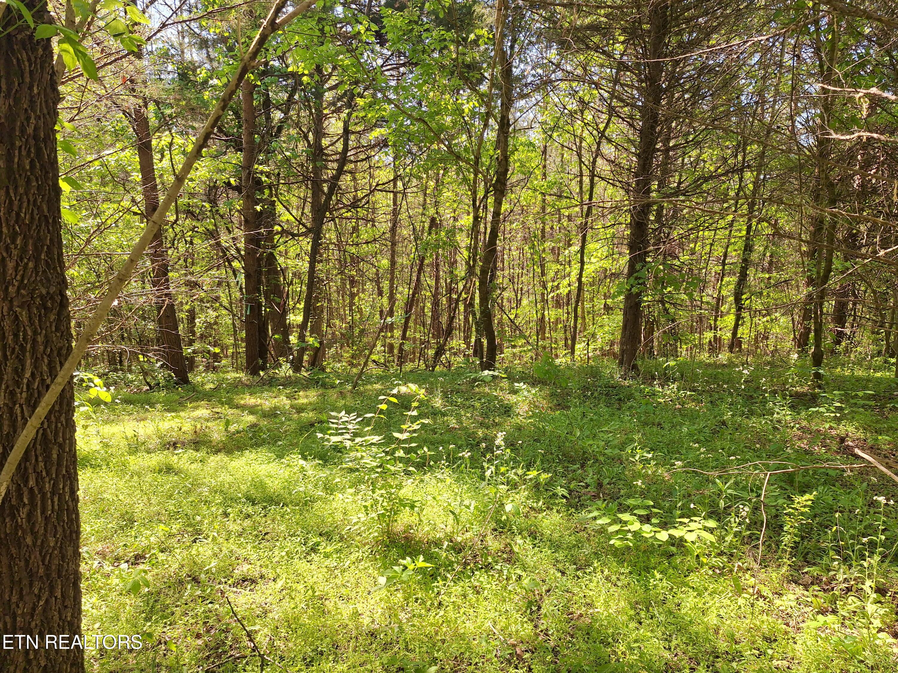 Payne Road Tellico Plains TN 37385