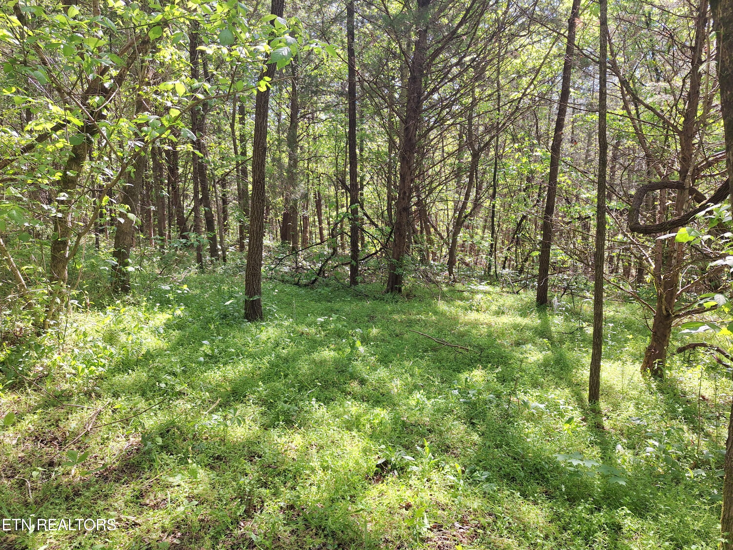 Payne Road Tellico Plains TN 37385
