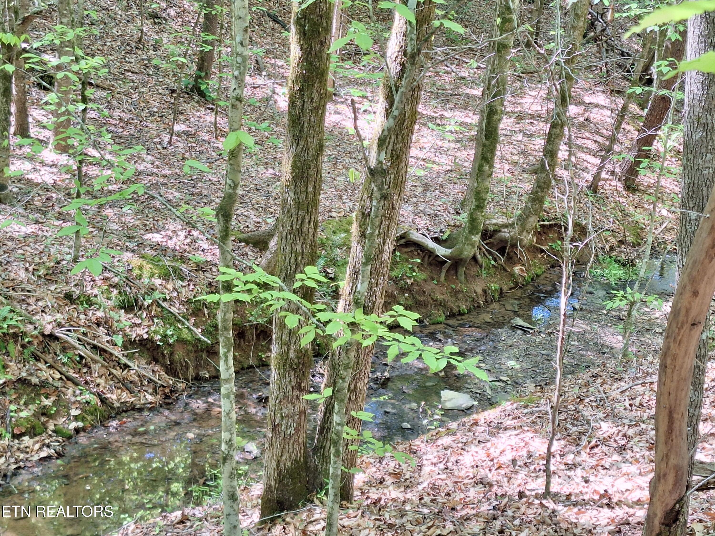 Payne Road Tellico Plains TN 37385