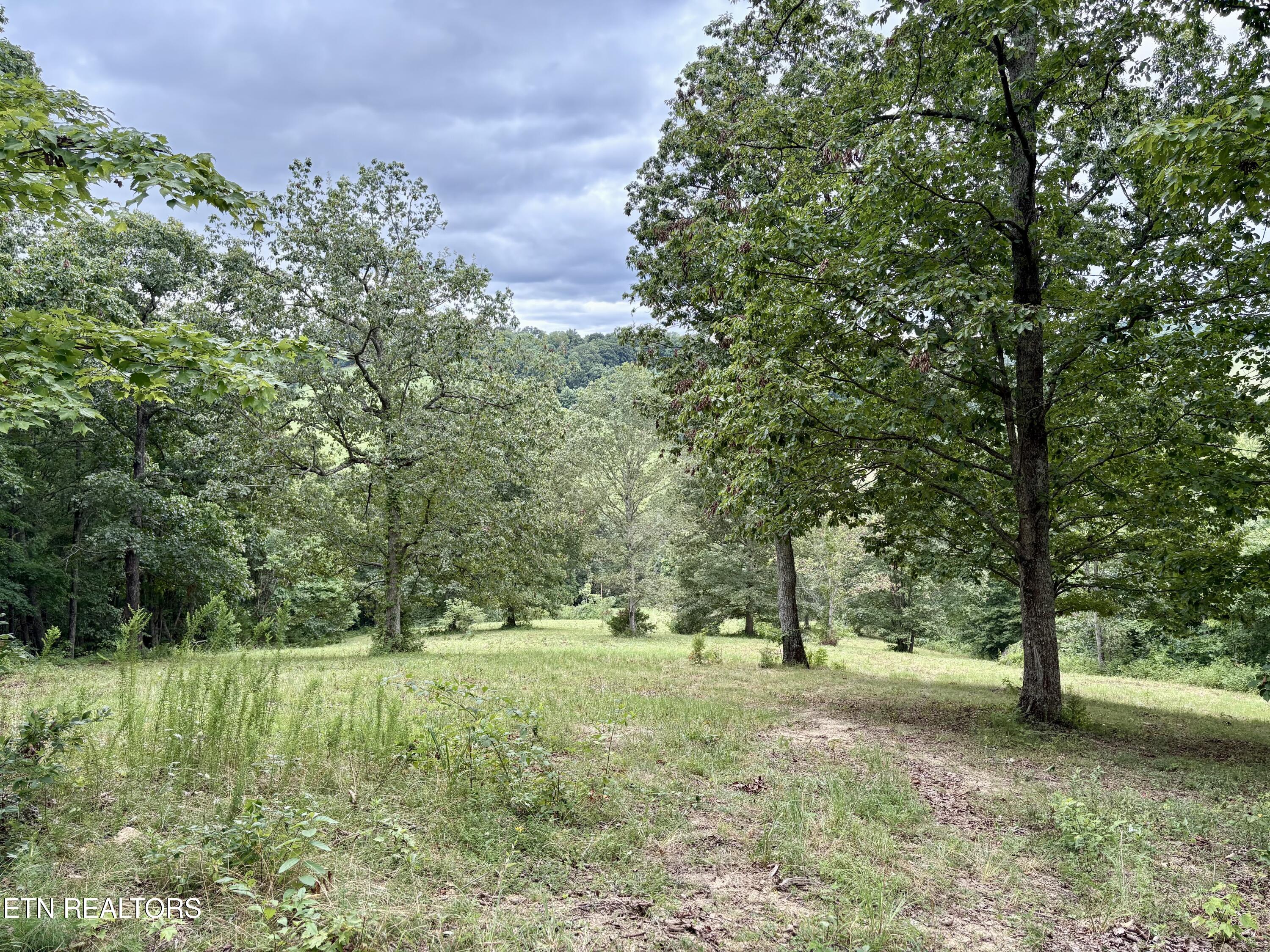 378 Johnson Hollow Road Sharps Chapel TN 37866