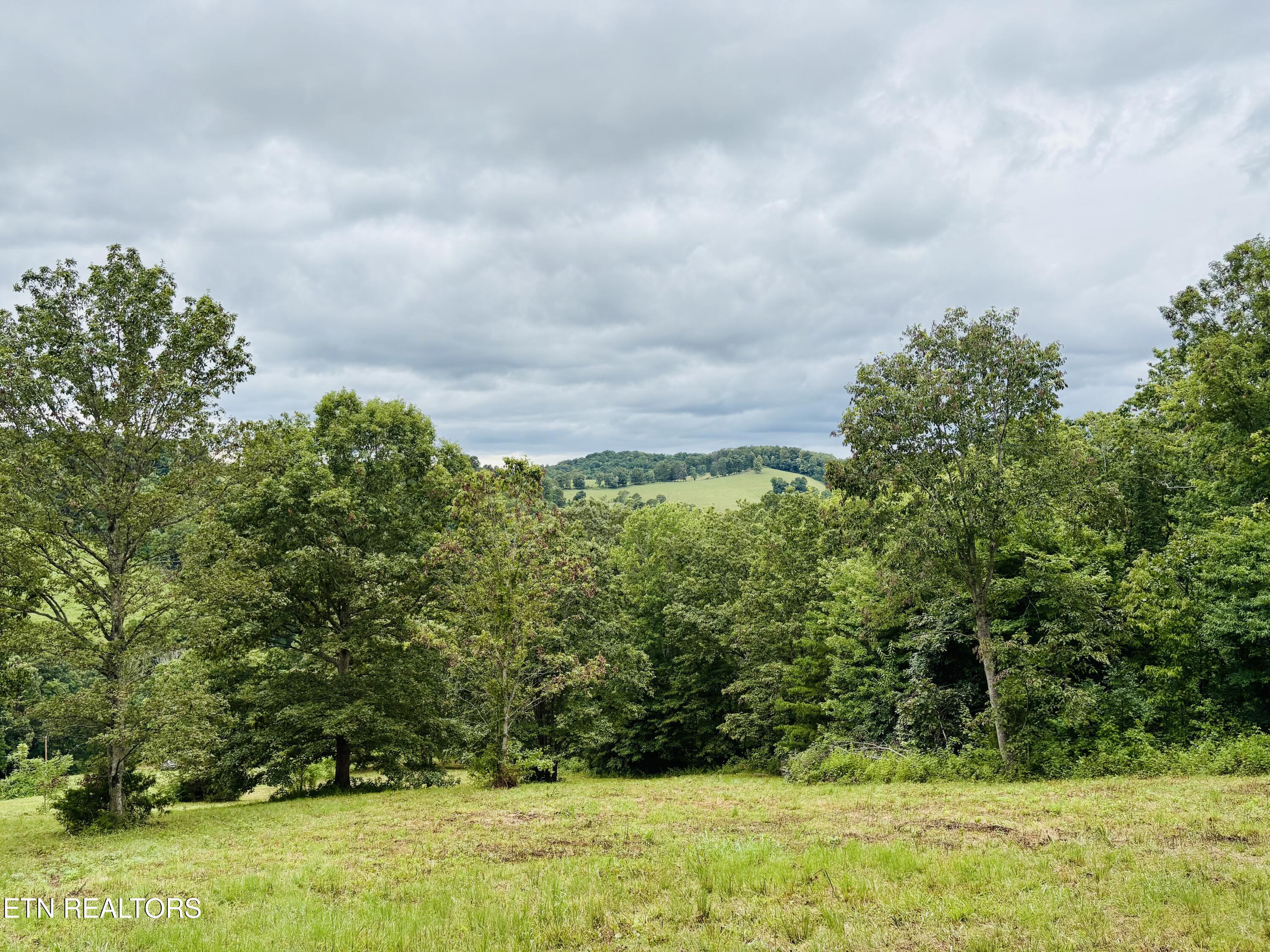 378 Johnson Hollow Road Sharps Chapel TN 37866