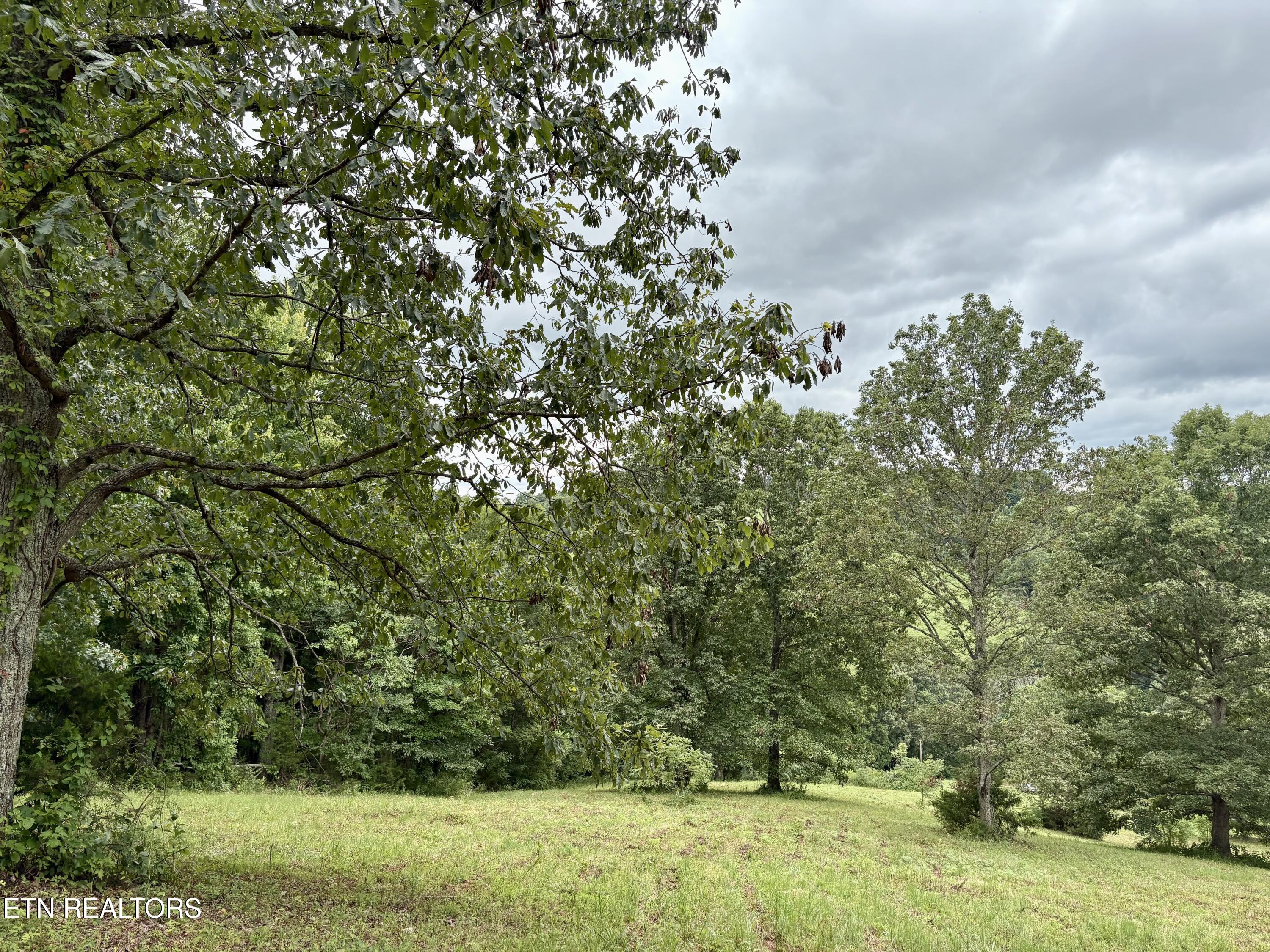 378 Johnson Hollow Road Sharps Chapel TN 37866