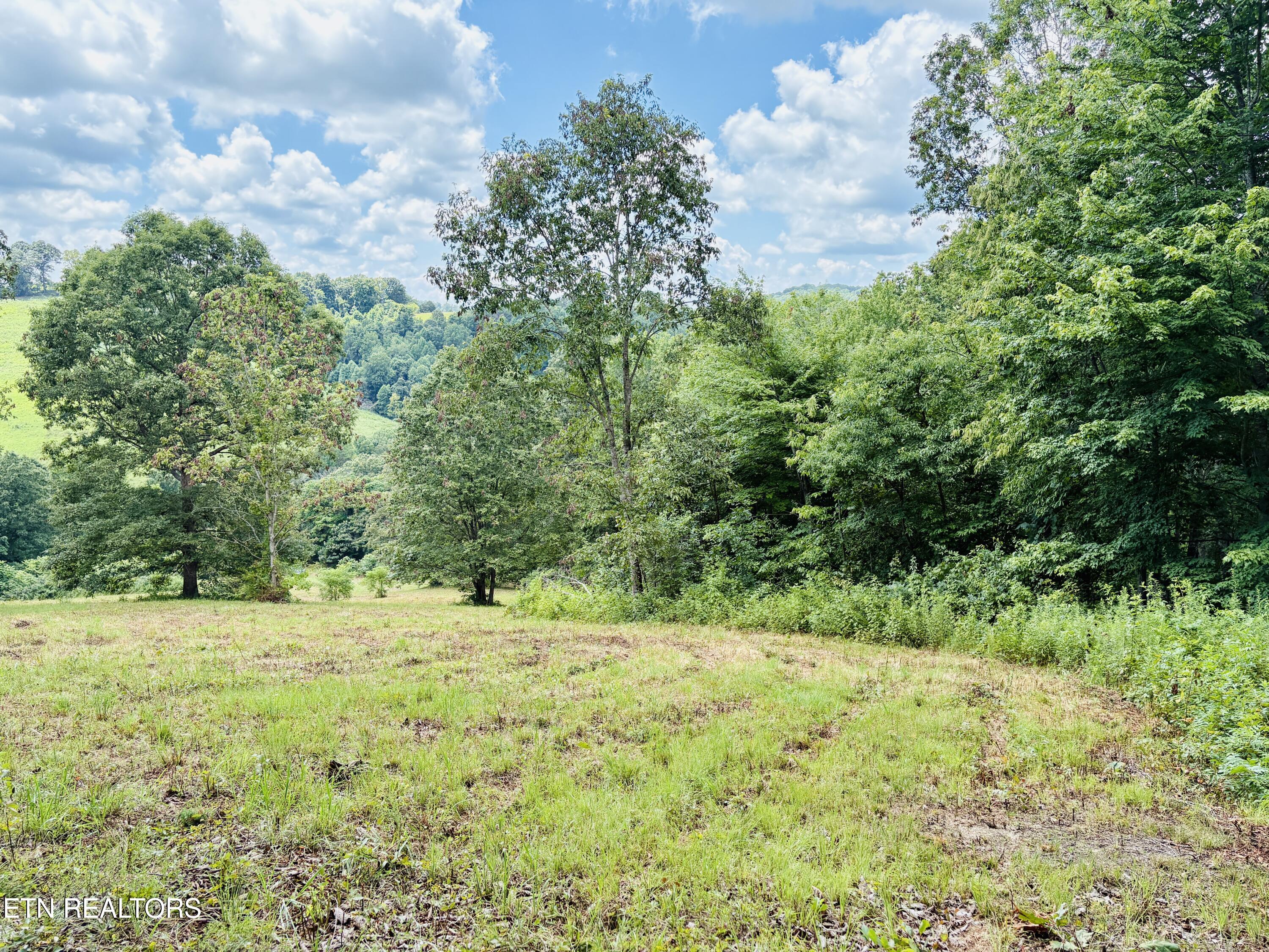 378 Johnson Hollow Road Sharps Chapel TN 37866