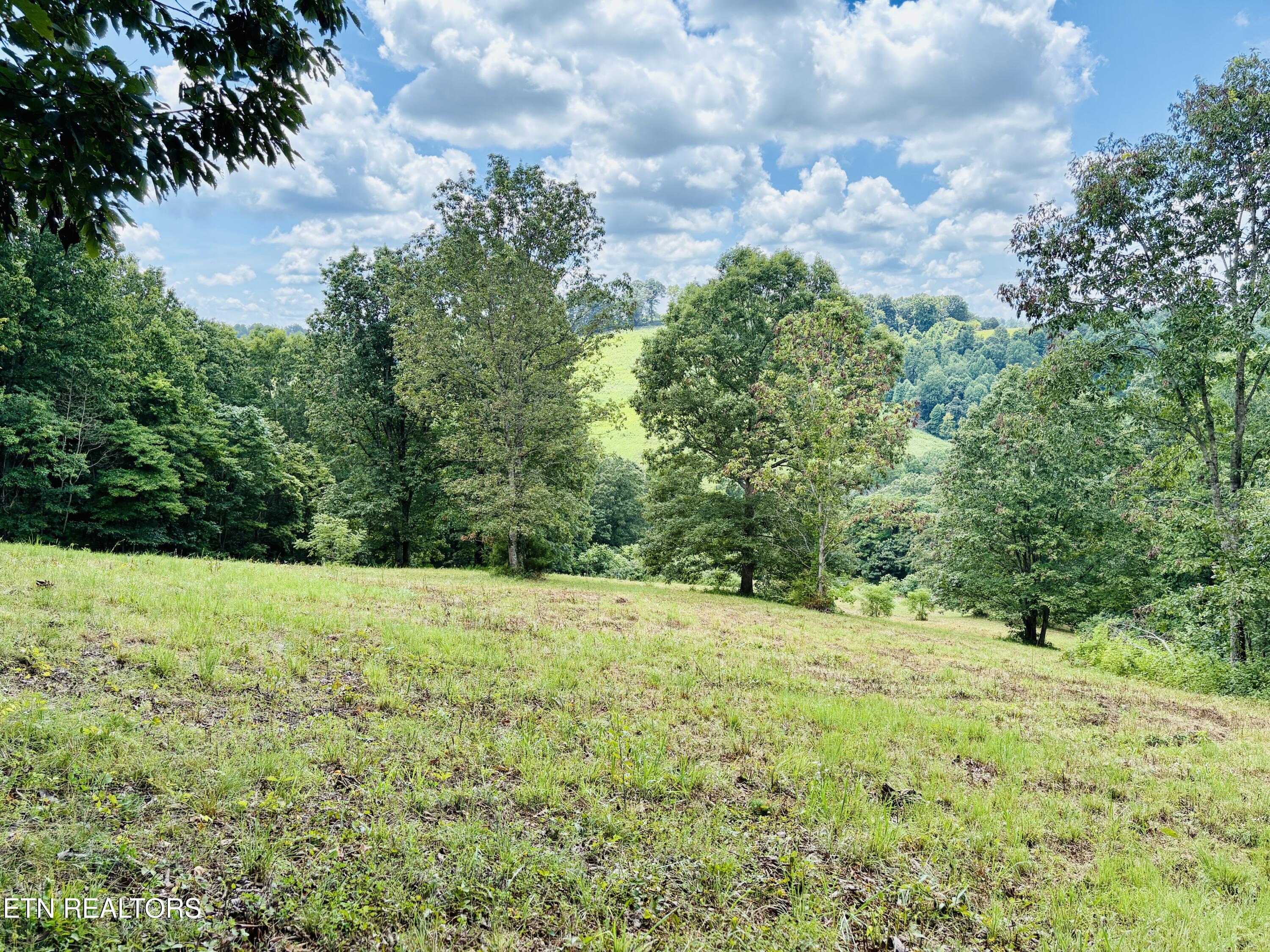 378 Johnson Hollow Road Sharps Chapel TN 37866