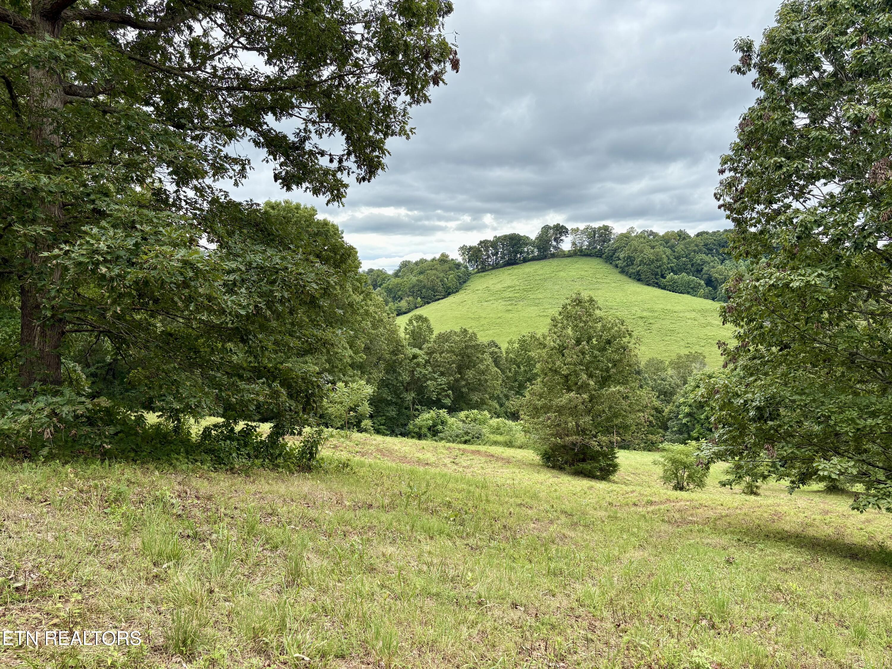 378 Johnson Hollow Road Sharps Chapel TN 37866
