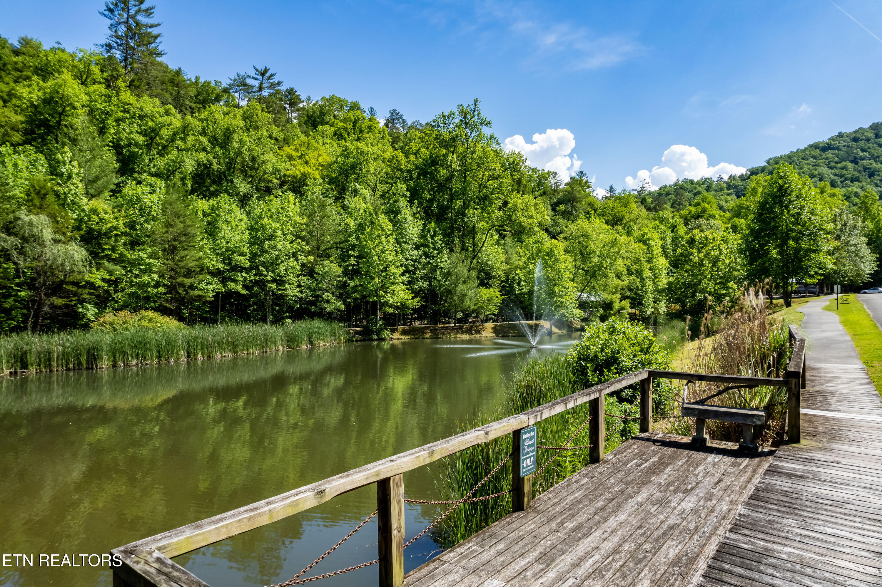 716 Tanasi Trail Townsend TN 37882