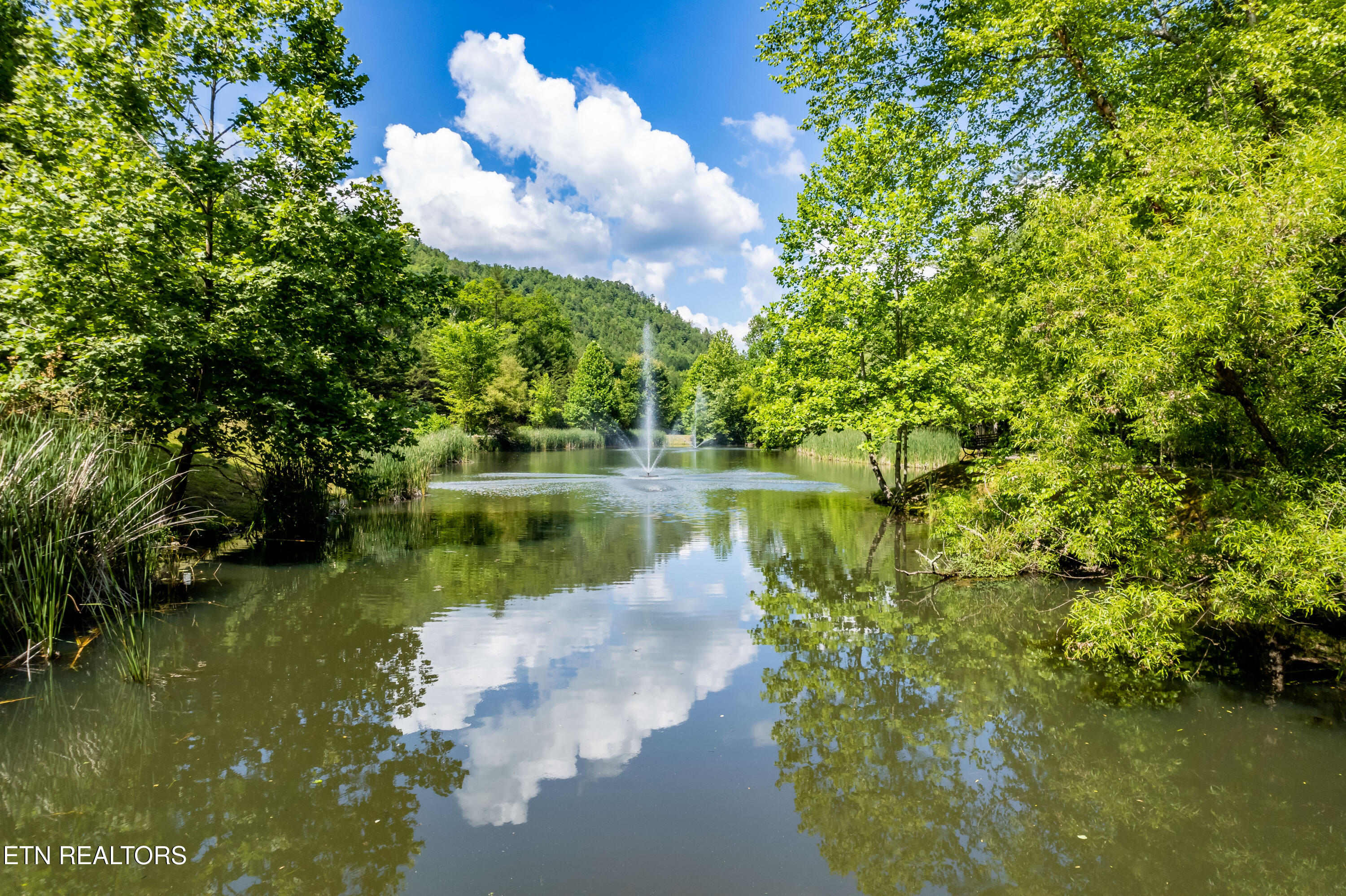 716 Tanasi Trail Townsend TN 37882