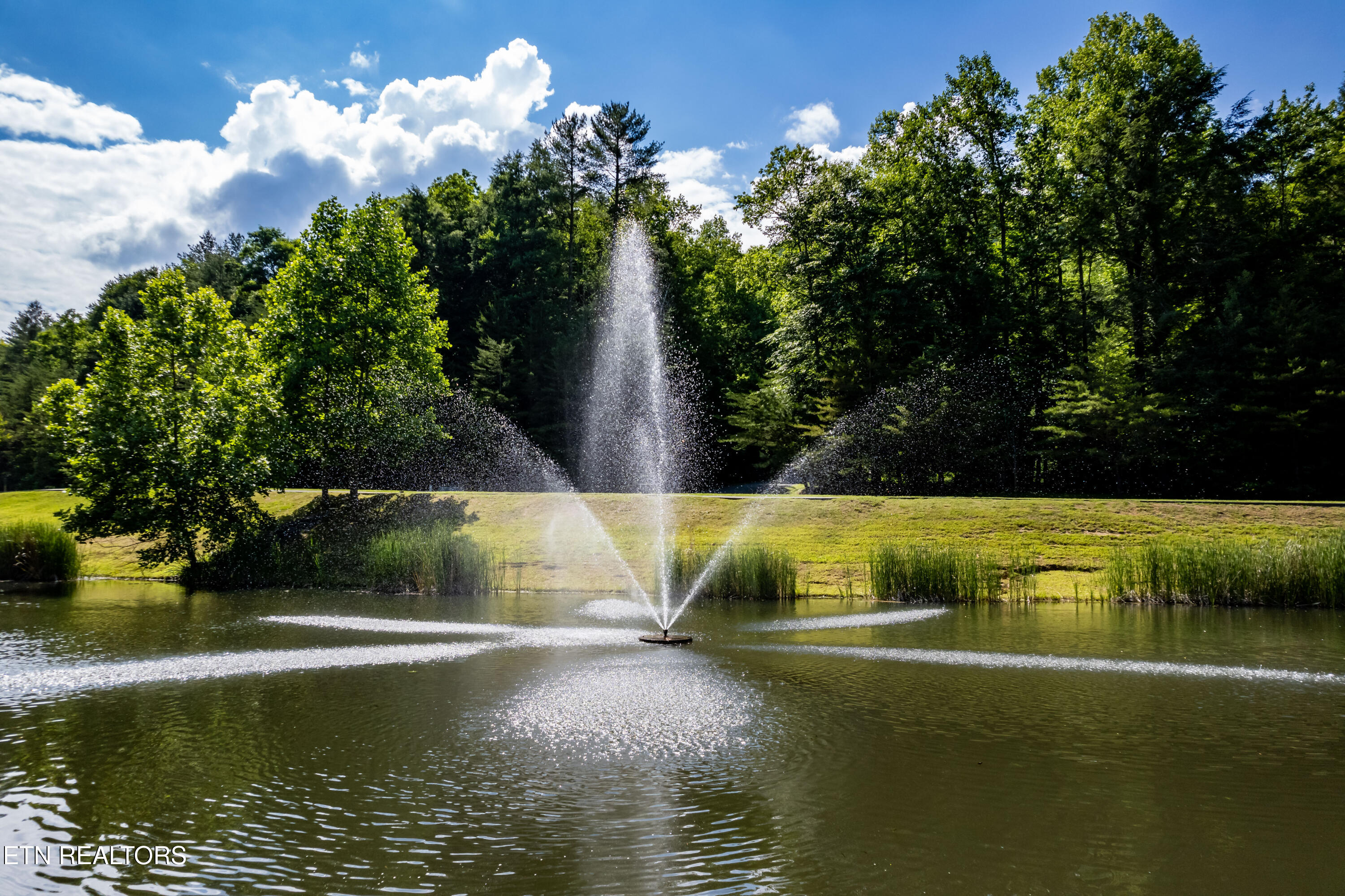 716 Tanasi Trail Townsend TN 37882