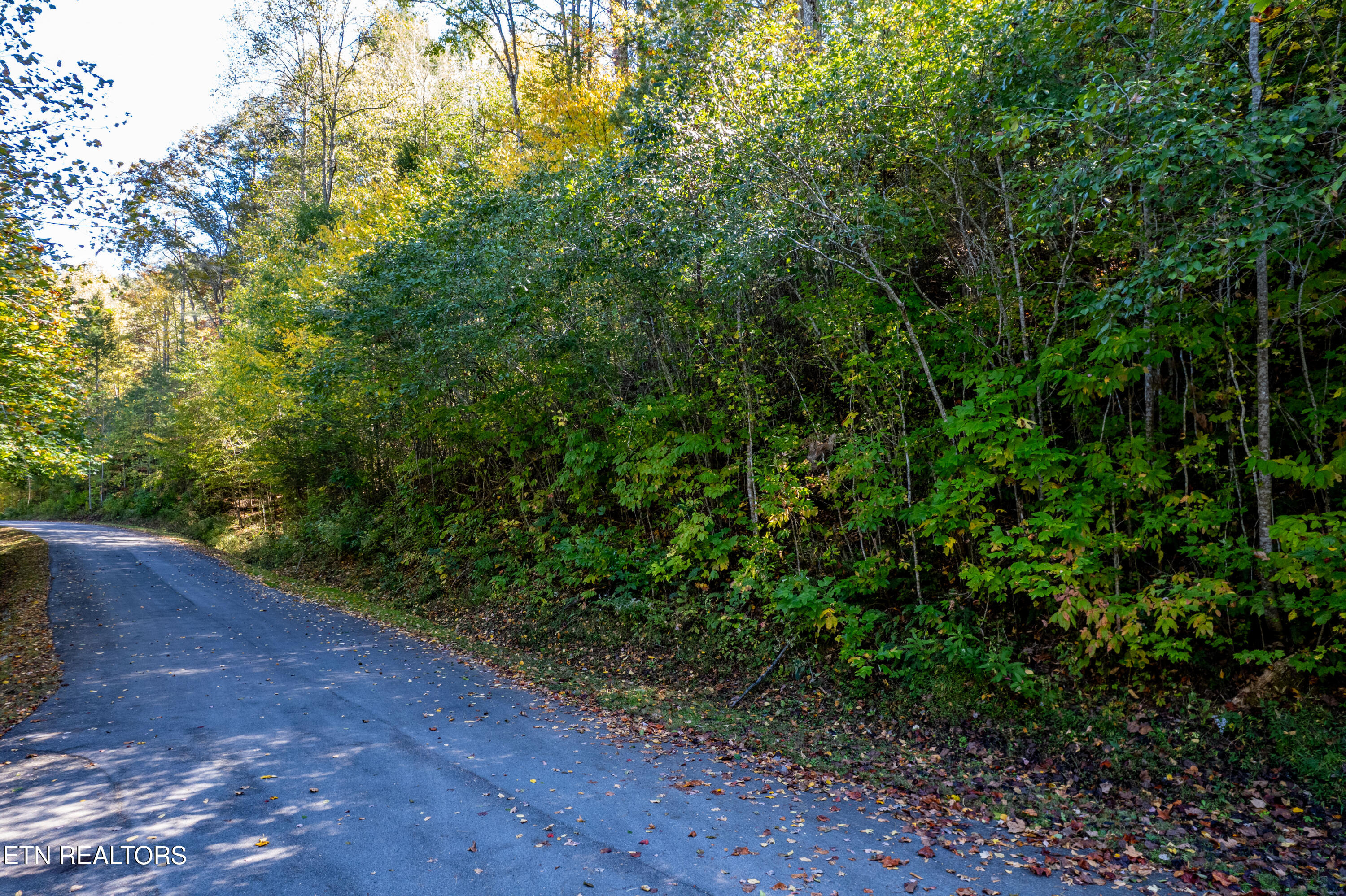 716 Tanasi Trail Townsend TN 37882
